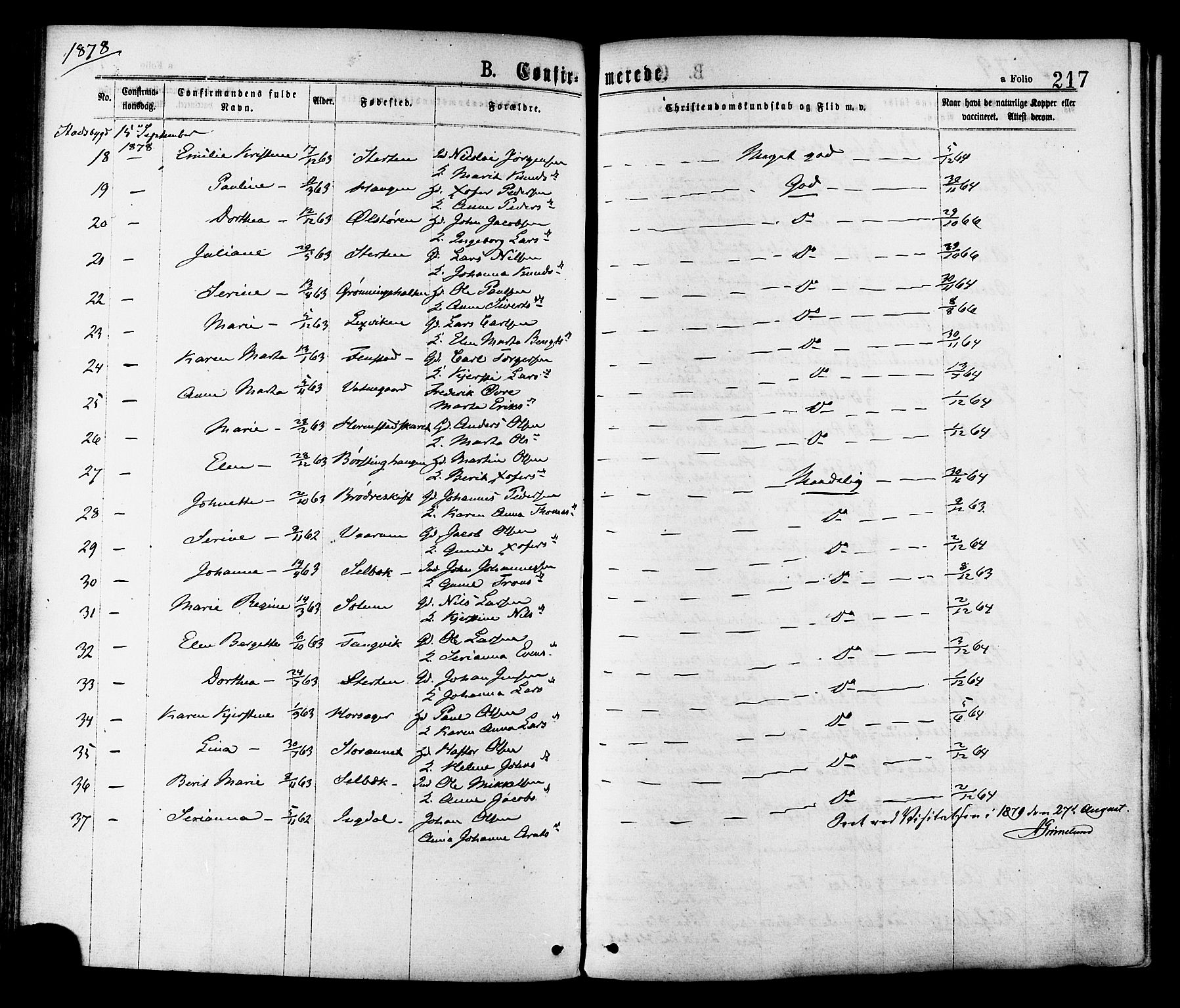 Ministerialprotokoller, klokkerbøker og fødselsregistre - Sør-Trøndelag, SAT/A-1456/646/L0613: Ministerialbok nr. 646A11, 1870-1884, s. 217