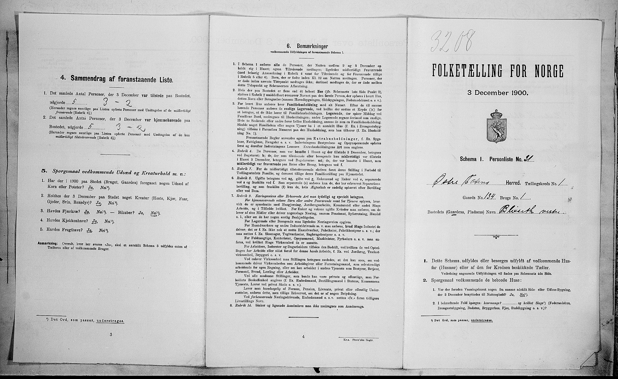 SAH, Folketelling 1900 for 0528 Østre Toten herred, 1900, s. 261