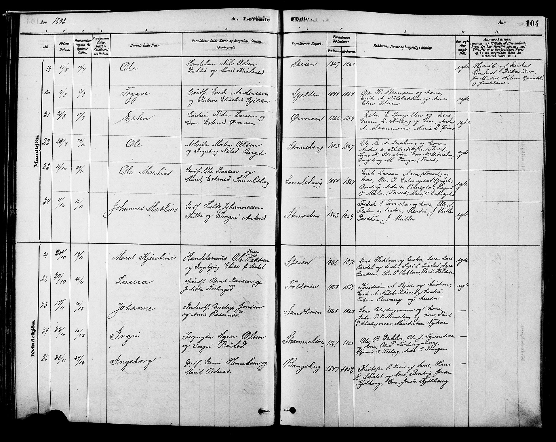Alvdal prestekontor, AV/SAH-PREST-060/H/Ha/Hab/L0003: Klokkerbok nr. 3, 1878-1907, s. 104