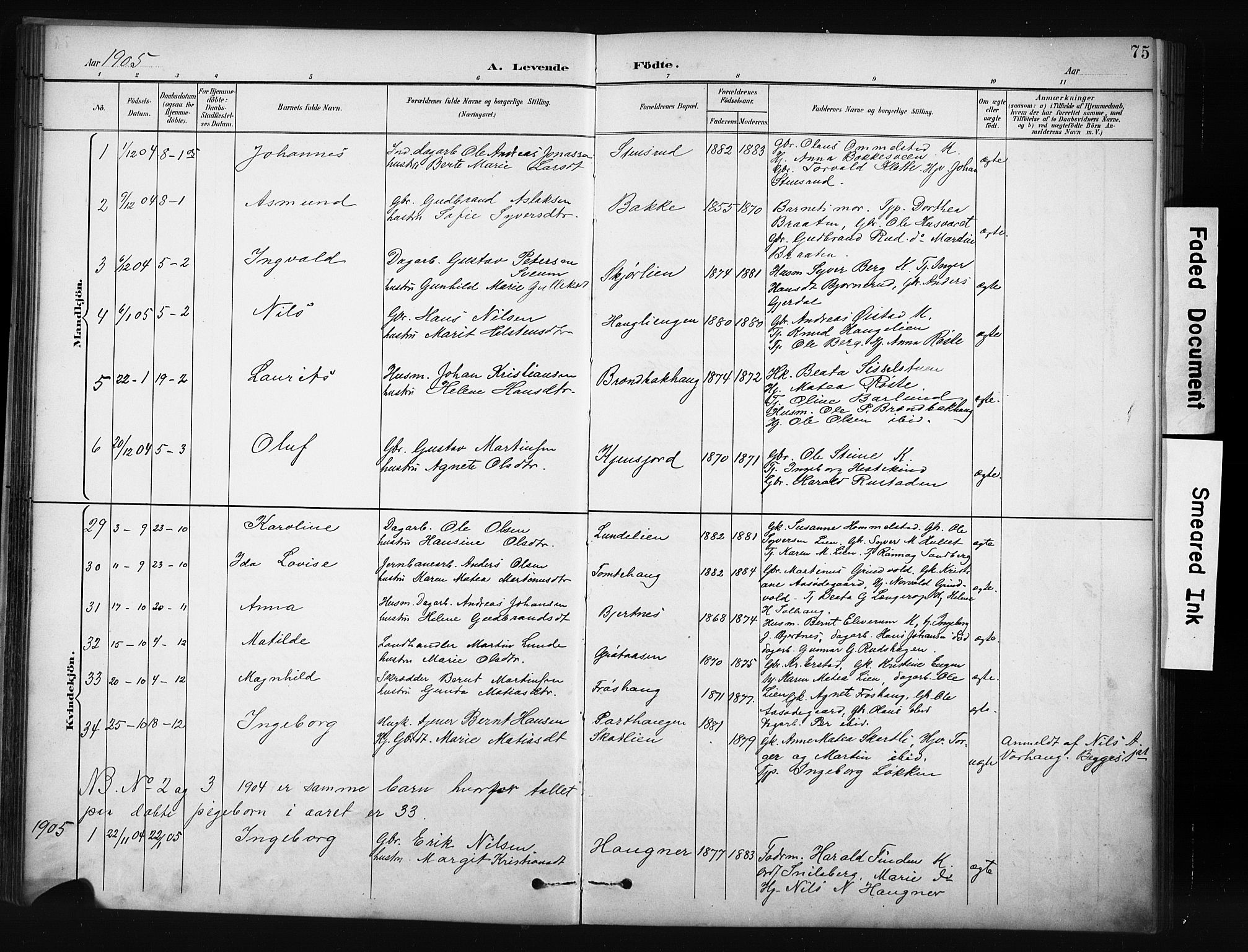 Nordre Land prestekontor, SAH/PREST-124/H/Ha/Hab/L0012: Klokkerbok nr. 12, 1891-1909, s. 75