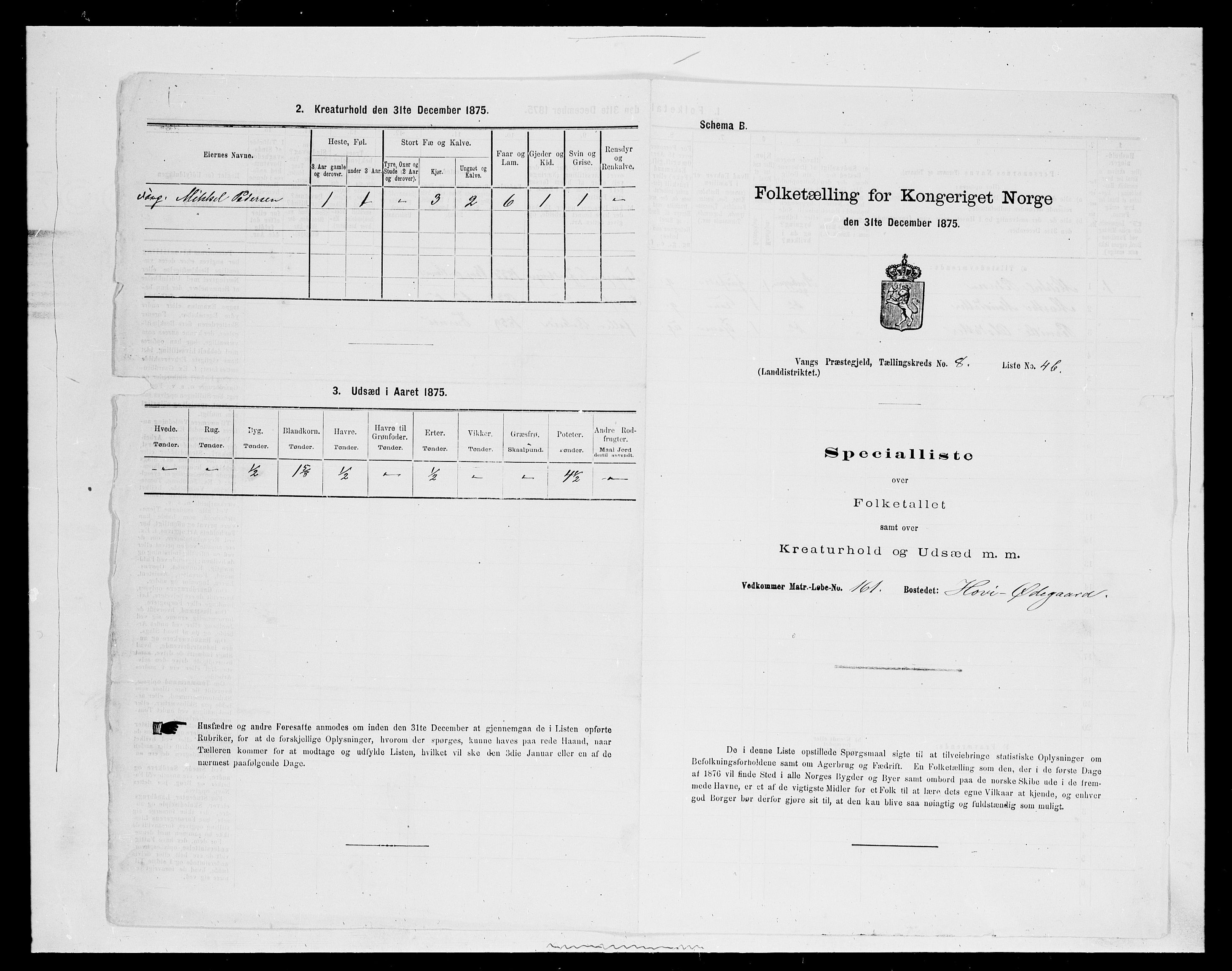 SAH, Folketelling 1875 for 0414L Vang prestegjeld, Vang sokn og Furnes sokn, 1875, s. 1901