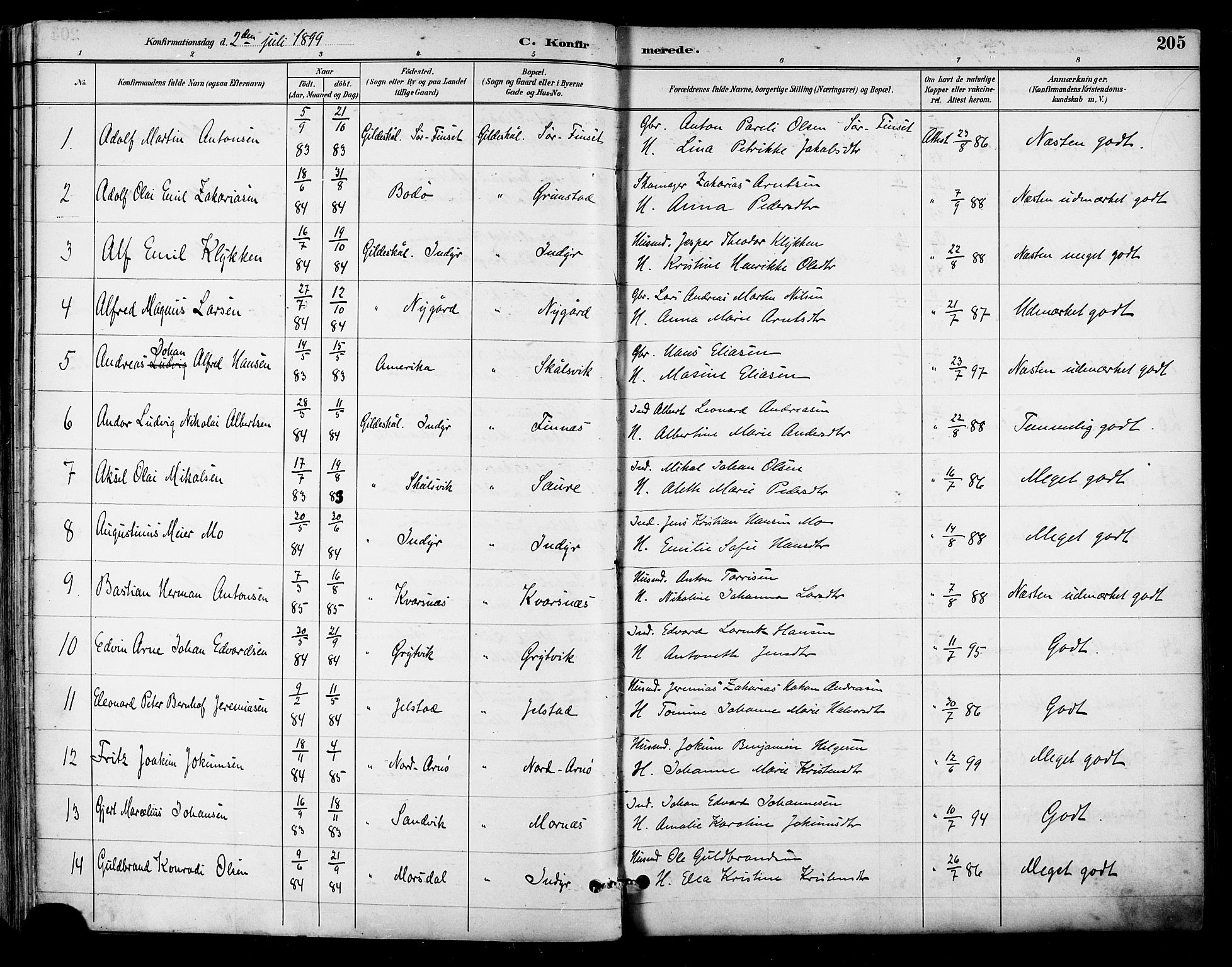 Ministerialprotokoller, klokkerbøker og fødselsregistre - Nordland, AV/SAT-A-1459/805/L0101: Ministerialbok nr. 805A07, 1892-1899, s. 205