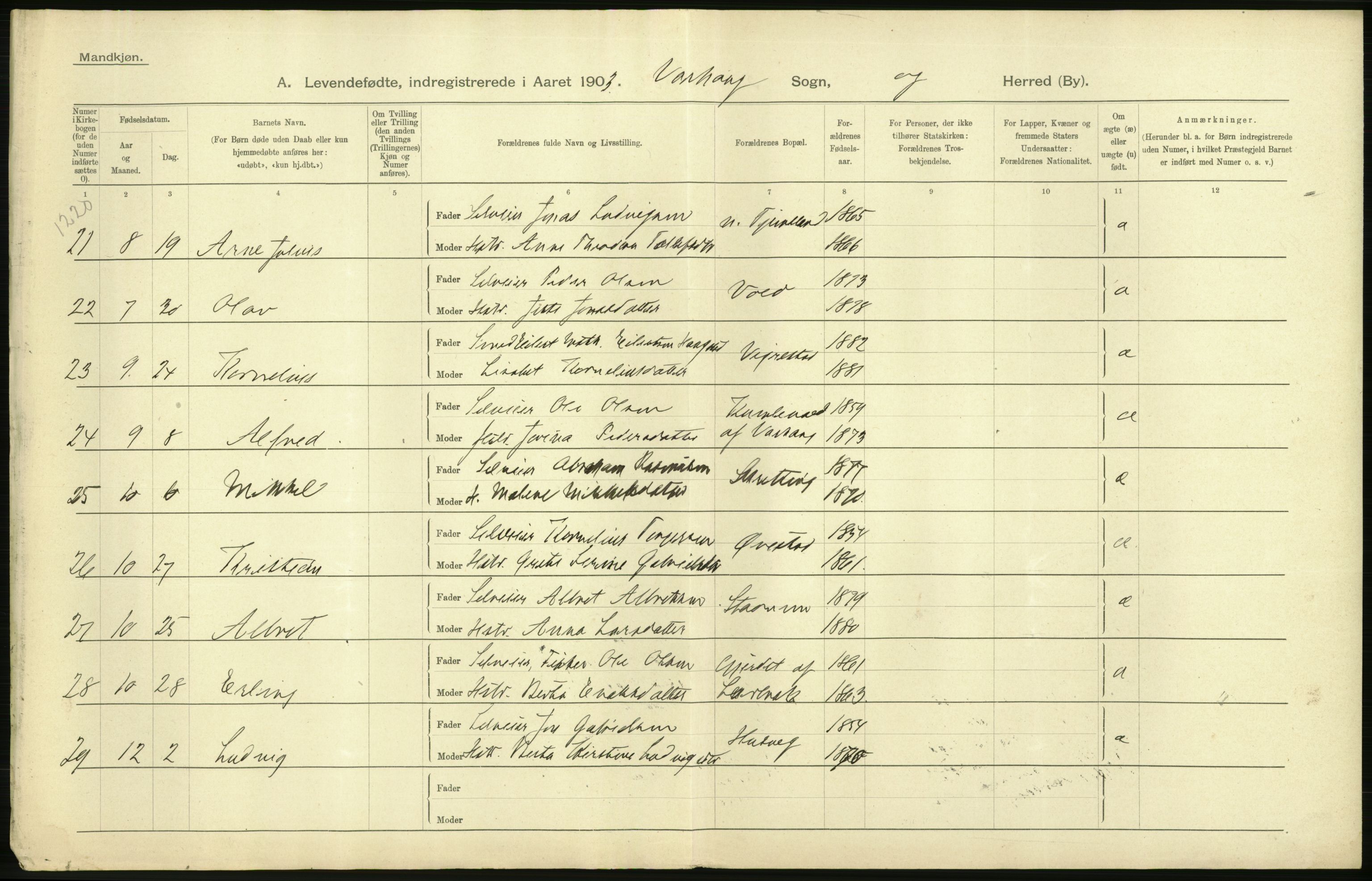 Statistisk sentralbyrå, Sosiodemografiske emner, Befolkning, AV/RA-S-2228/D/Df/Dfa/Dfaa/L0012: Stavanger amt: Fødte, gifte, døde, 1903, s. 50