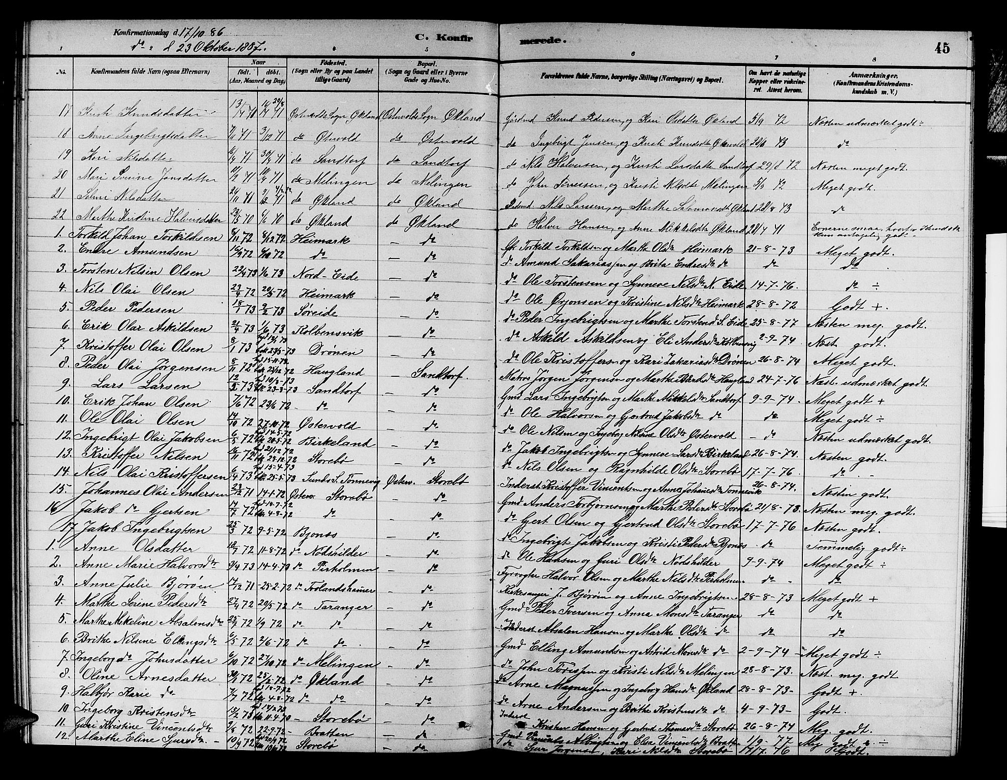 Austevoll sokneprestembete, AV/SAB-A-74201/H/Ha/Hab/Haba/L0002: Klokkerbok nr. A 2, 1880-1888, s. 45