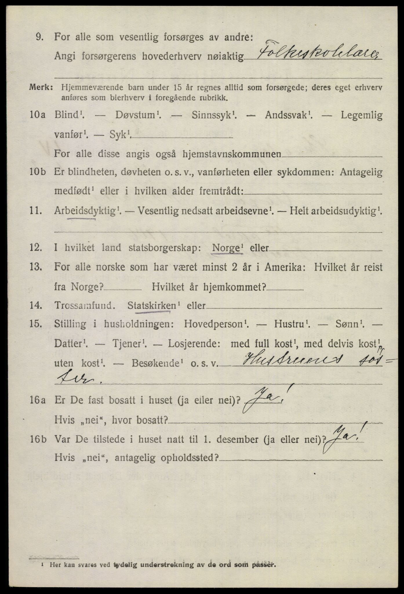 SAKO, Folketelling 1920 for 0815 Skåtøy herred, 1920, s. 3941