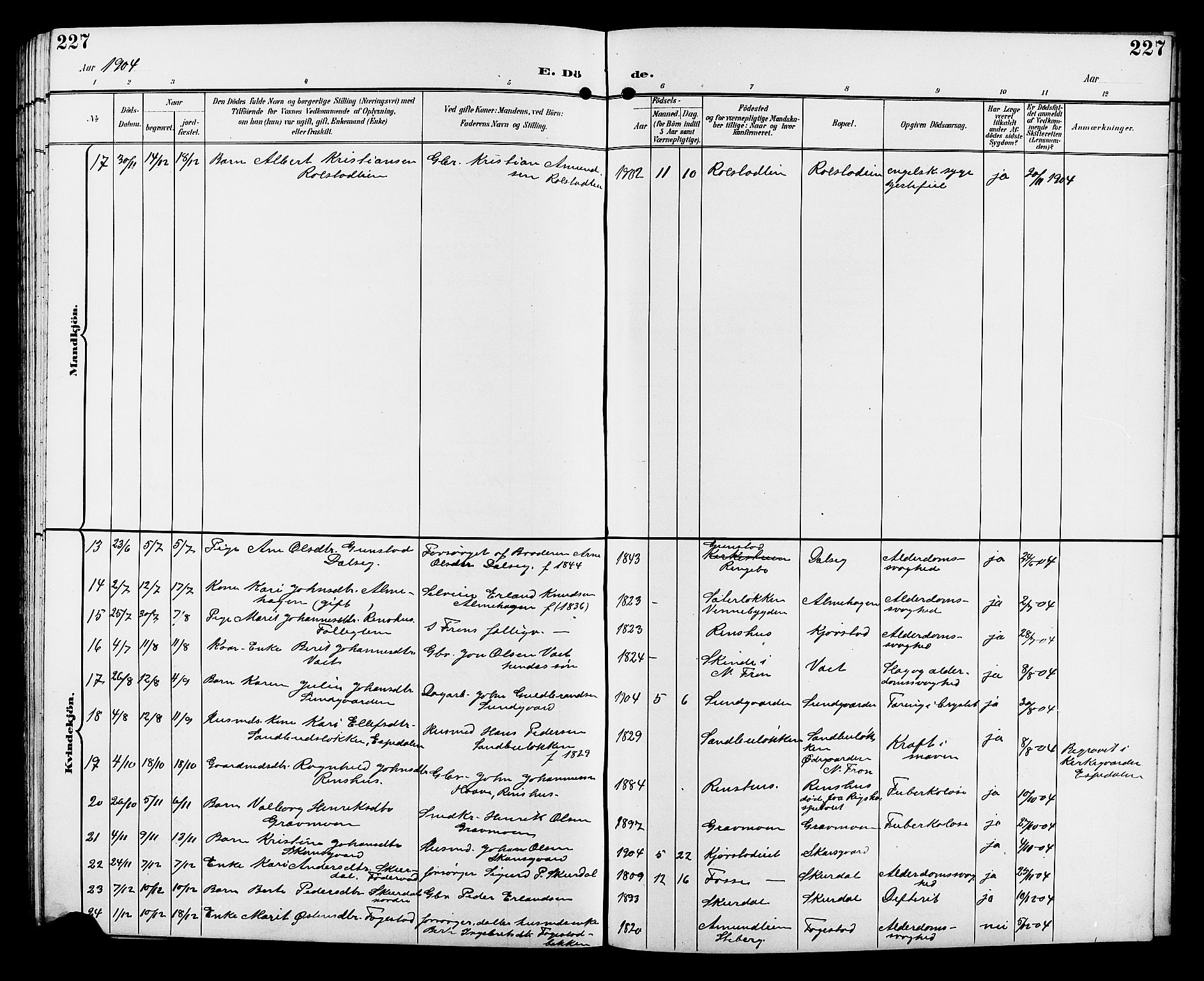 Sør-Fron prestekontor, AV/SAH-PREST-010/H/Ha/Hab/L0004: Klokkerbok nr. 4, 1896-1911, s. 227