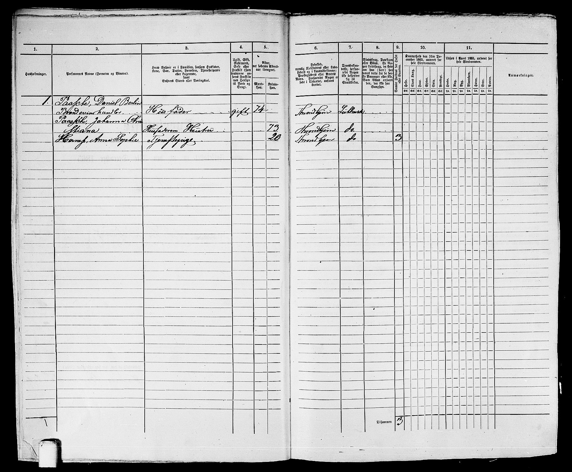 RA, Folketelling 1865 for 1601 Trondheim kjøpstad, 1865, s. 1050