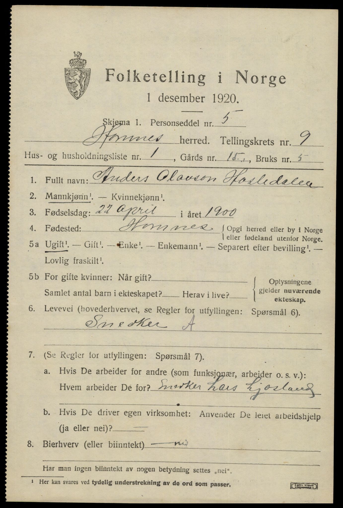 SAK, Folketelling 1920 for 0936 Hornnes herred, 1920, s. 2199
