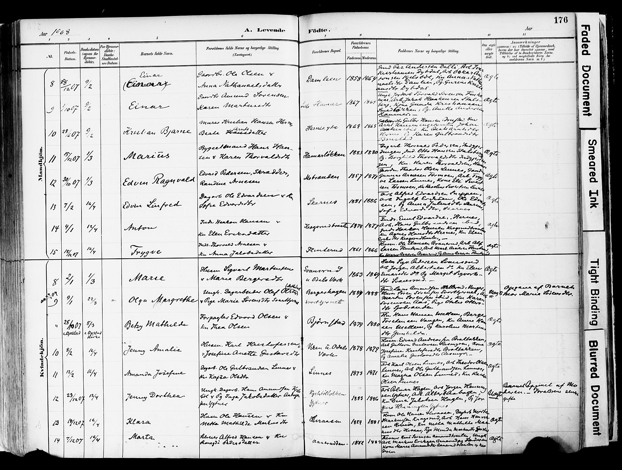 Sør-Odal prestekontor, AV/SAH-PREST-030/H/Ha/Haa/L0006: Ministerialbok nr. 6, 1886-1931, s. 176