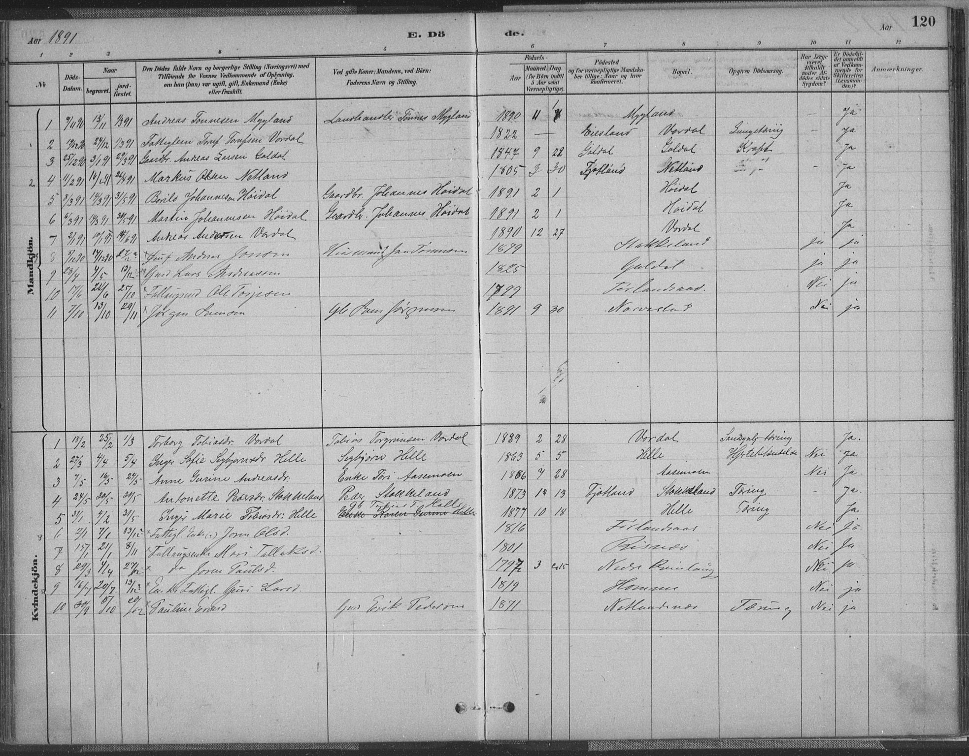 Fjotland sokneprestkontor, SAK/1111-0010/F/Fa/L0002: Ministerialbok nr. A 2, 1880-1898, s. 120