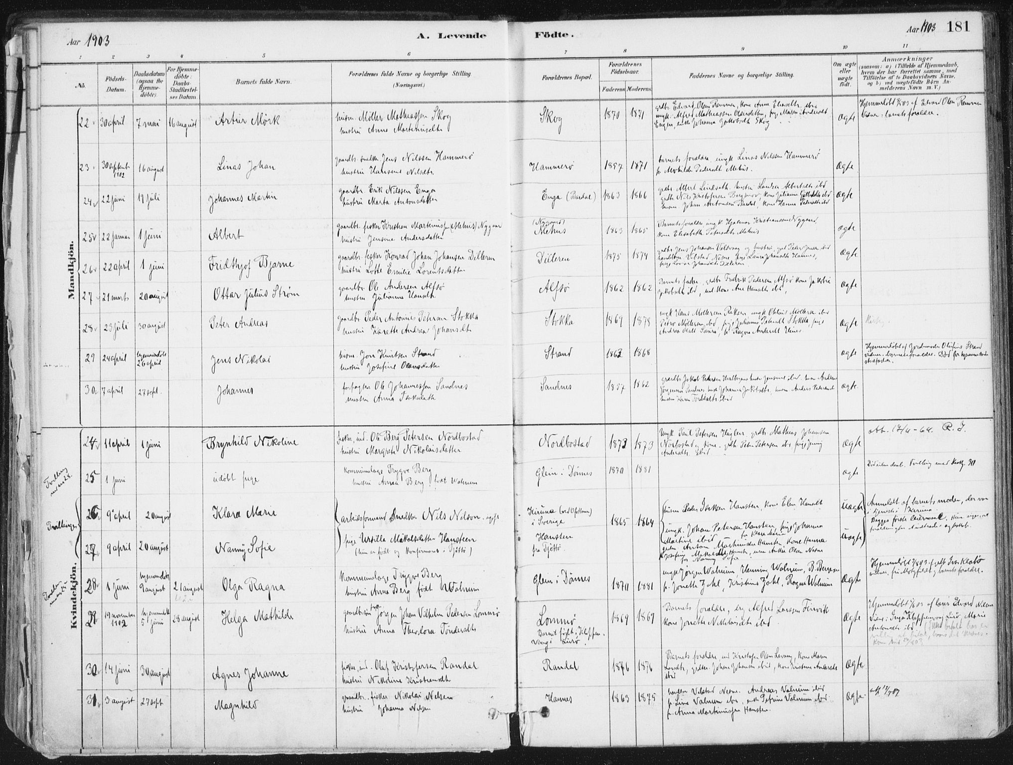 Ministerialprotokoller, klokkerbøker og fødselsregistre - Nordland, AV/SAT-A-1459/838/L0552: Ministerialbok nr. 838A10, 1880-1910, s. 181