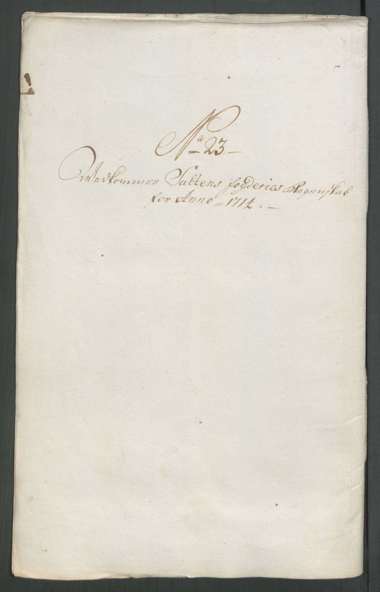 Rentekammeret inntil 1814, Reviderte regnskaper, Fogderegnskap, RA/EA-4092/R66/L4584: Fogderegnskap Salten, 1714, s. 210