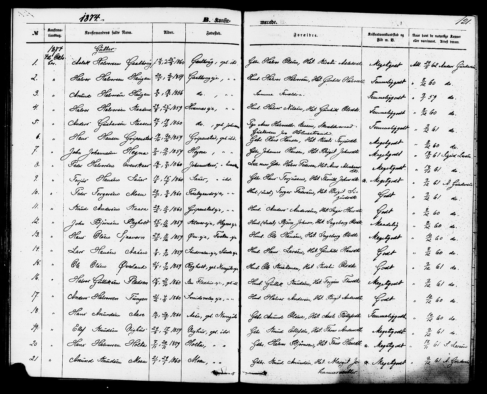 Sauherad kirkebøker, AV/SAKO-A-298/F/Fa/L0008: Ministerialbok nr. I 8, 1873-1886, s. 121