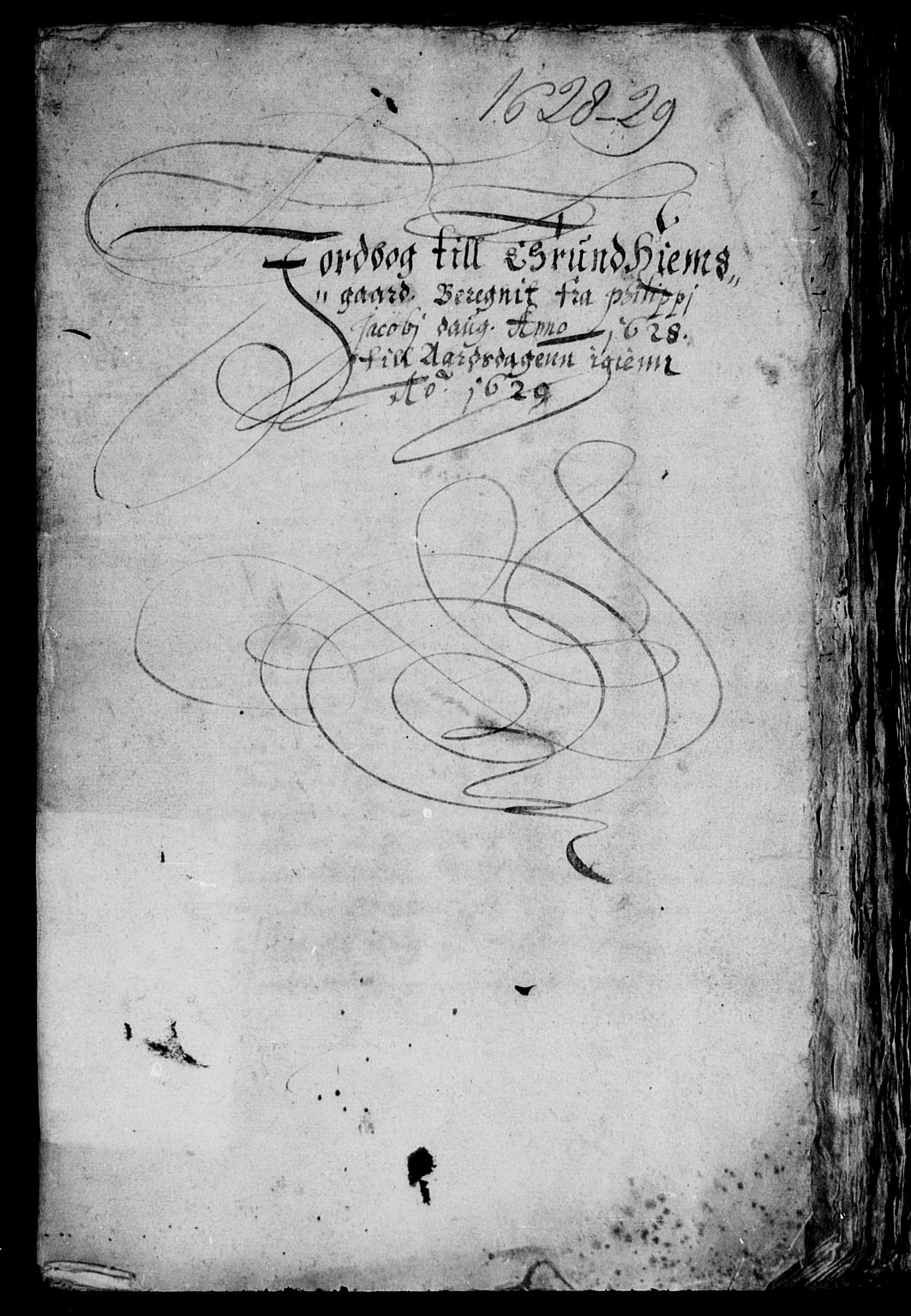 Rentekammeret inntil 1814, Reviderte regnskaper, Lensregnskaper, AV/RA-EA-5023/R/Rb/Rbw/L0036: Trondheim len, 1628-1629
