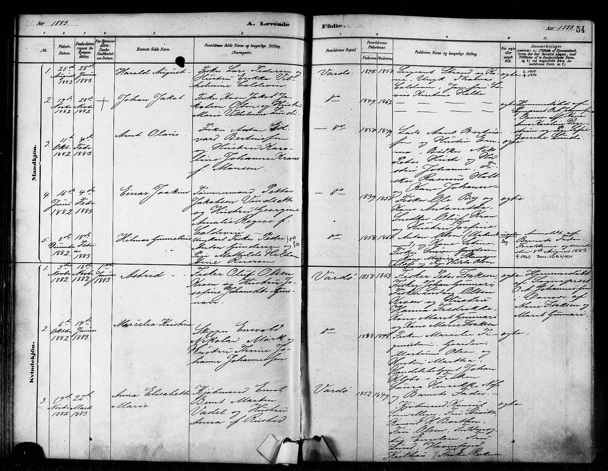 Vardø sokneprestkontor, AV/SATØ-S-1332/H/Ha/L0006kirke: Ministerialbok nr. 6, 1879-1886, s. 54