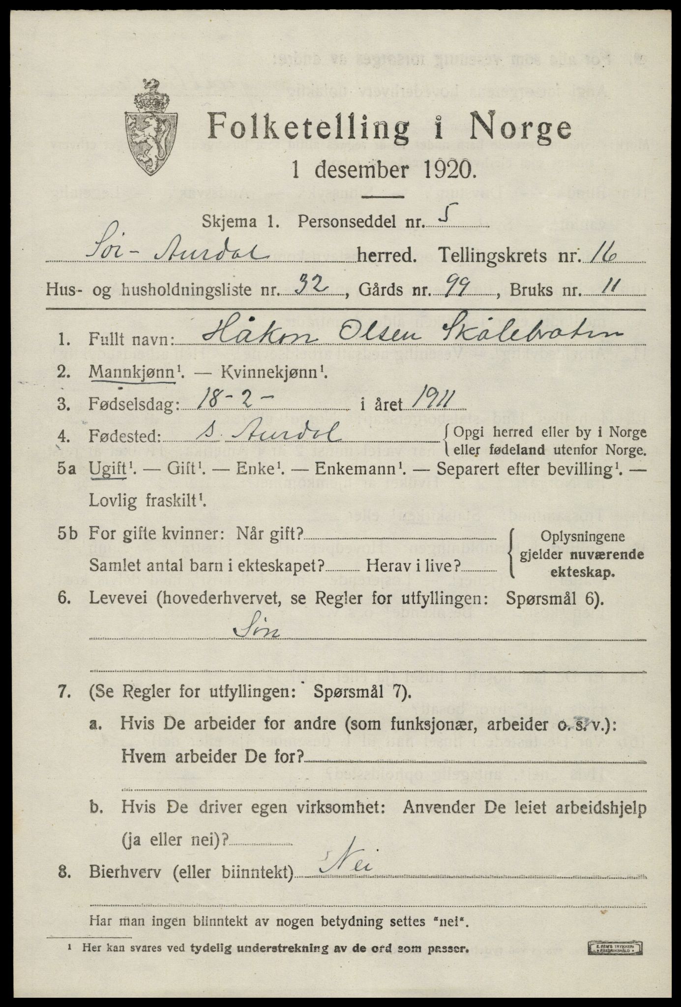 SAH, Folketelling 1920 for 0540 Sør-Aurdal herred, 1920, s. 9615
