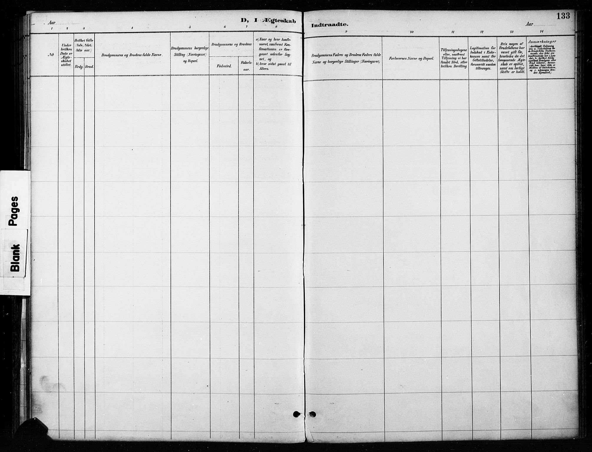 Gran prestekontor, SAH/PREST-112/H/Ha/Haa/L0018: Ministerialbok nr. 18, 1889-1899, s. 133