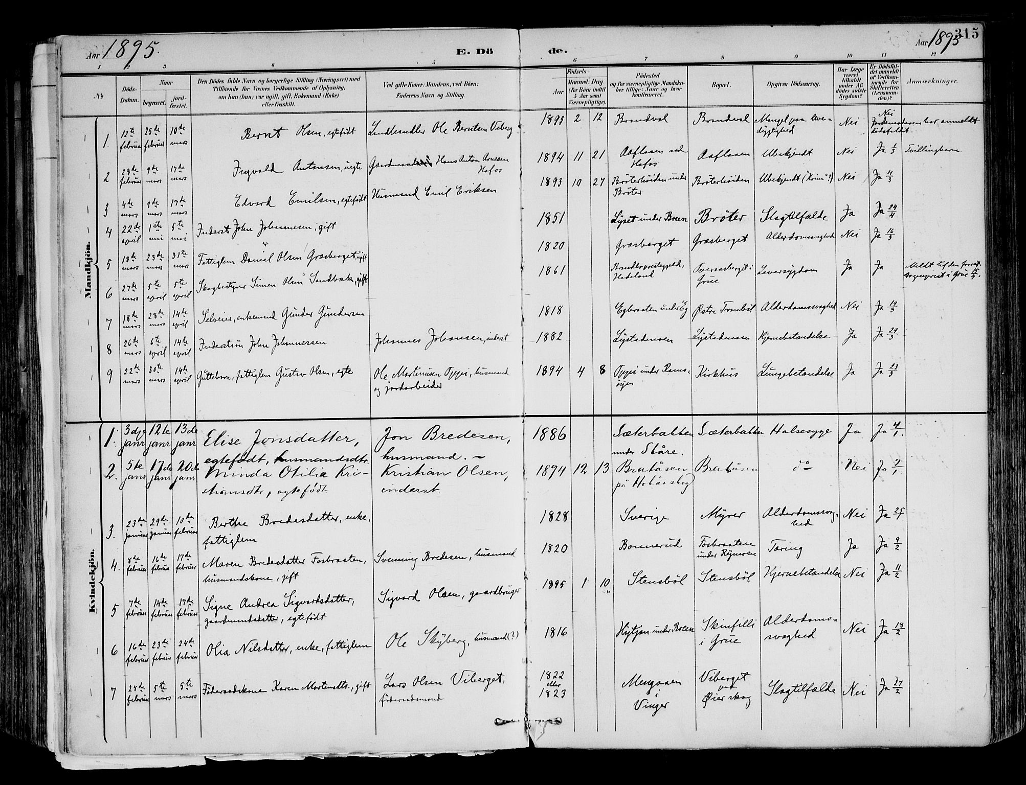 Brandval prestekontor, AV/SAH-PREST-034/H/Ha/Haa/L0003: Ministerialbok nr. 3, 1894-1909, s. 315