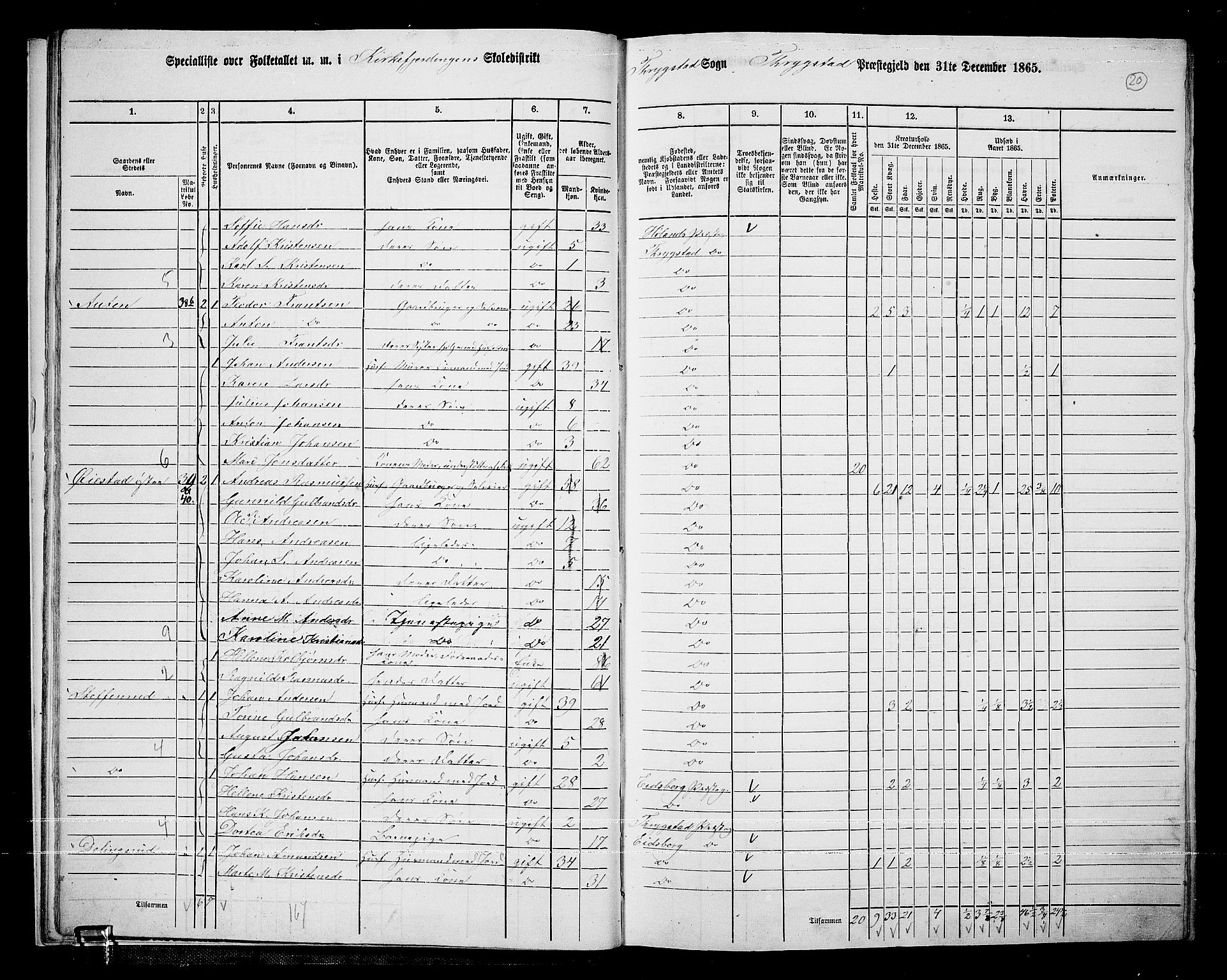 RA, Folketelling 1865 for 0122P Trøgstad prestegjeld, 1865, s. 19