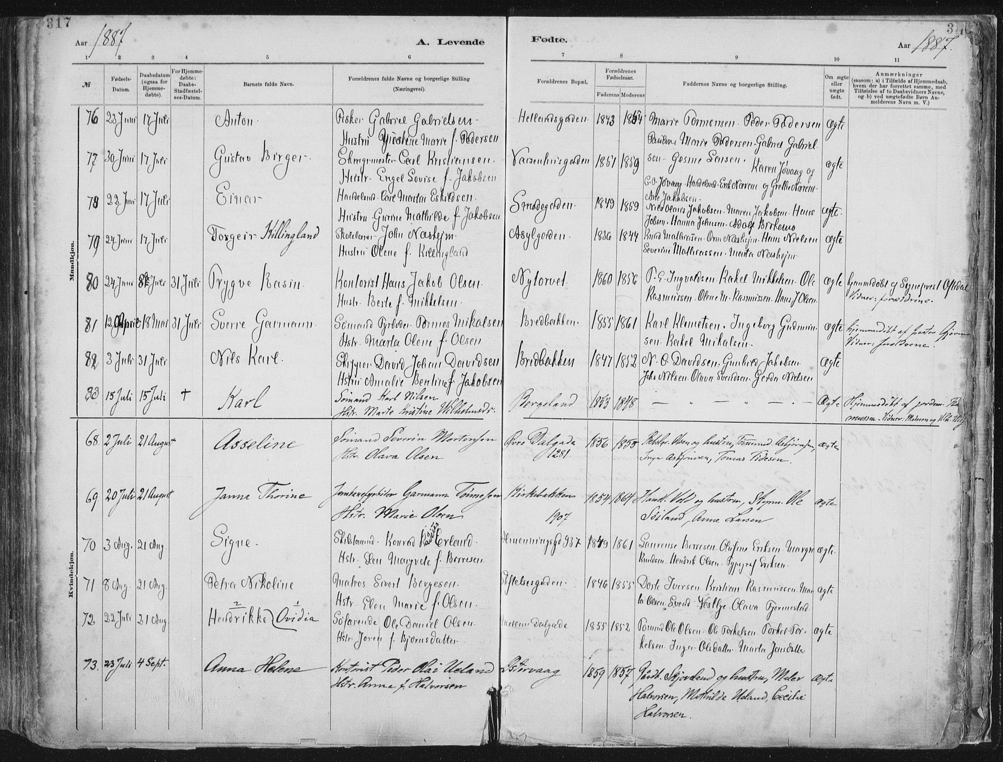 St. Petri sokneprestkontor, AV/SAST-A-101813/001/30/30BA/L0015: Ministerialbok nr. A 15, 1879-1888, s. 317