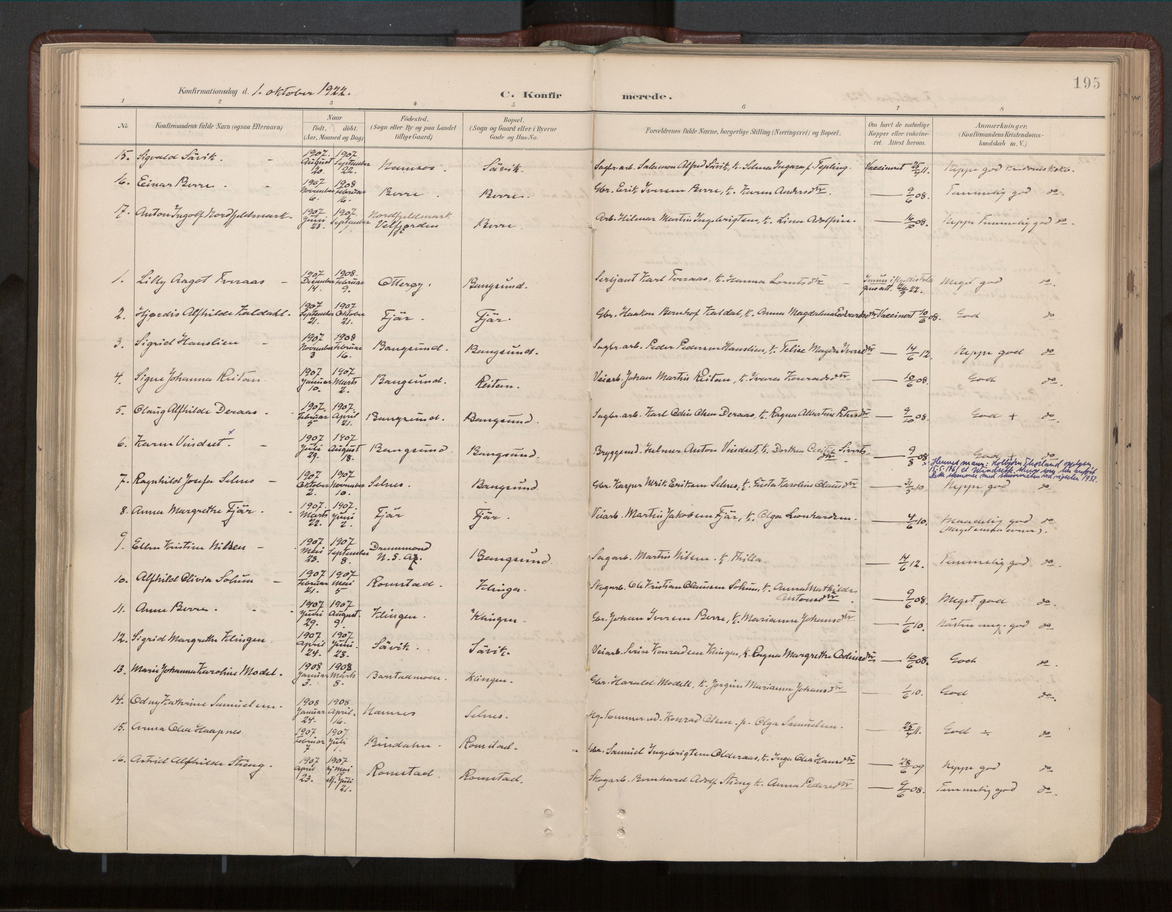 Ministerialprotokoller, klokkerbøker og fødselsregistre - Nord-Trøndelag, SAT/A-1458/770/L0589: Ministerialbok nr. 770A03, 1887-1929, s. 195