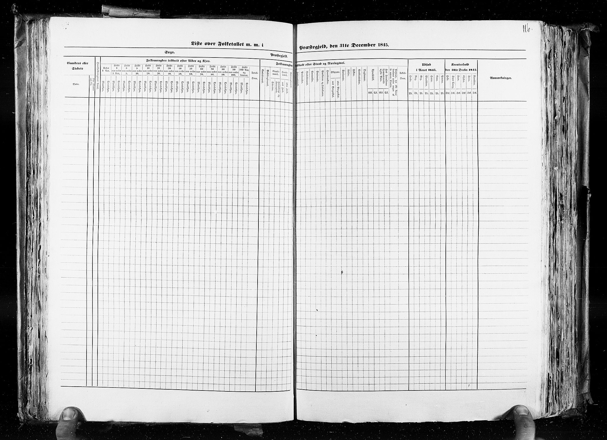 RA, Folketellingen 1845, bind 4: Buskerud amt og Jarlsberg og Larvik amt, 1845, s. 116