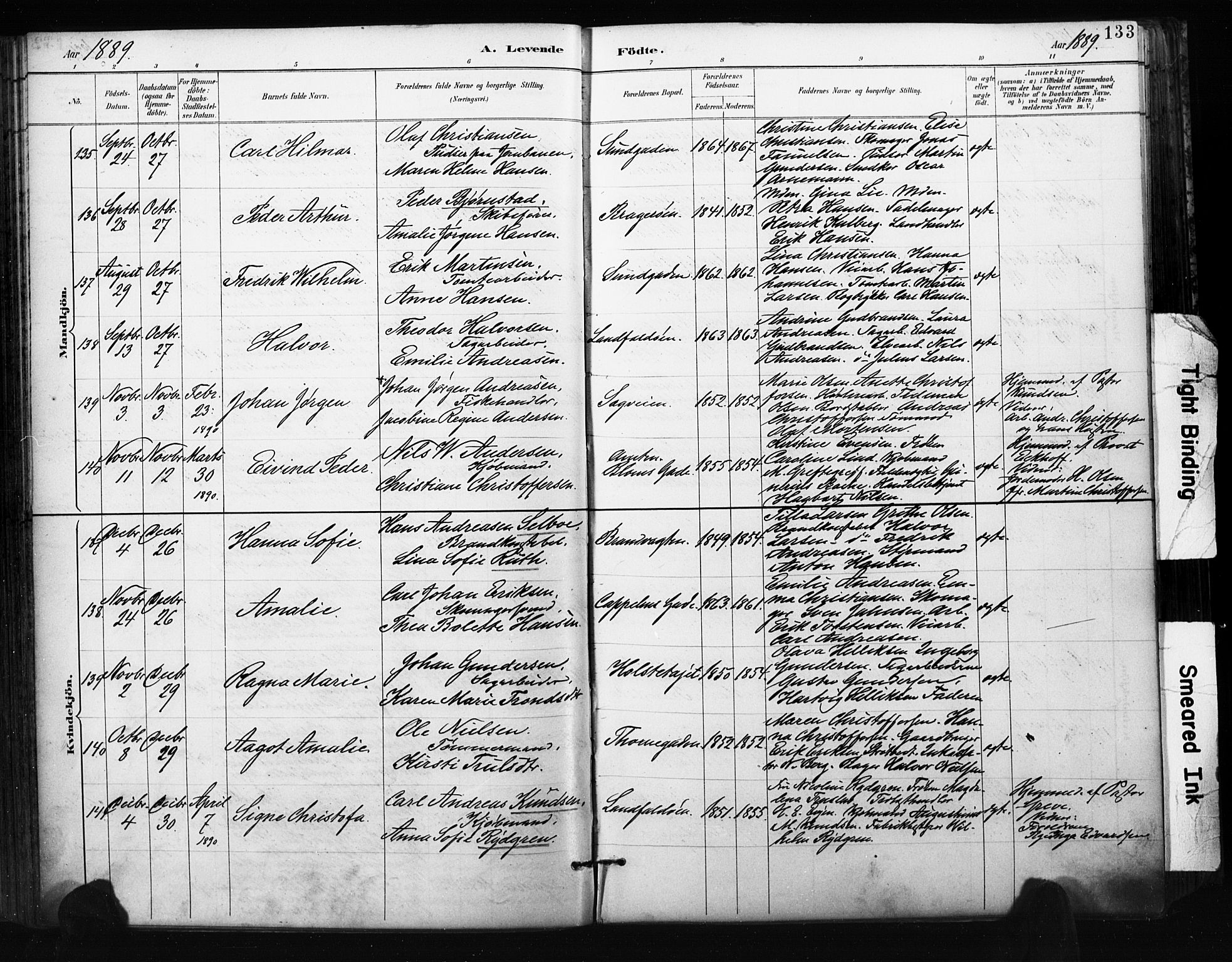 Bragernes kirkebøker, AV/SAKO-A-6/F/Fb/L0007: Ministerialbok nr. II 7, 1885-1893, s. 133