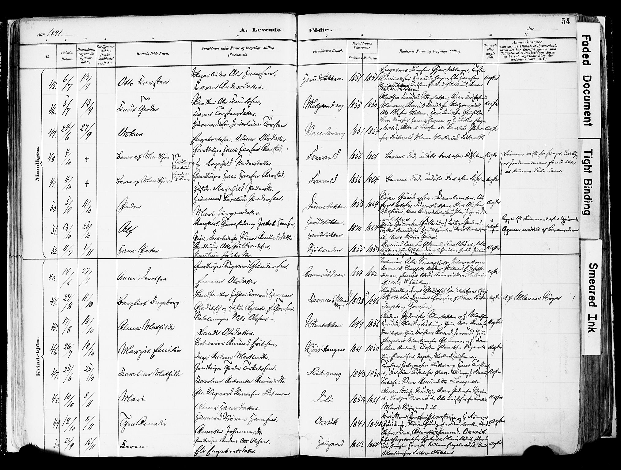 Sør-Odal prestekontor, AV/SAH-PREST-030/H/Ha/Haa/L0006: Ministerialbok nr. 6, 1886-1931, s. 54