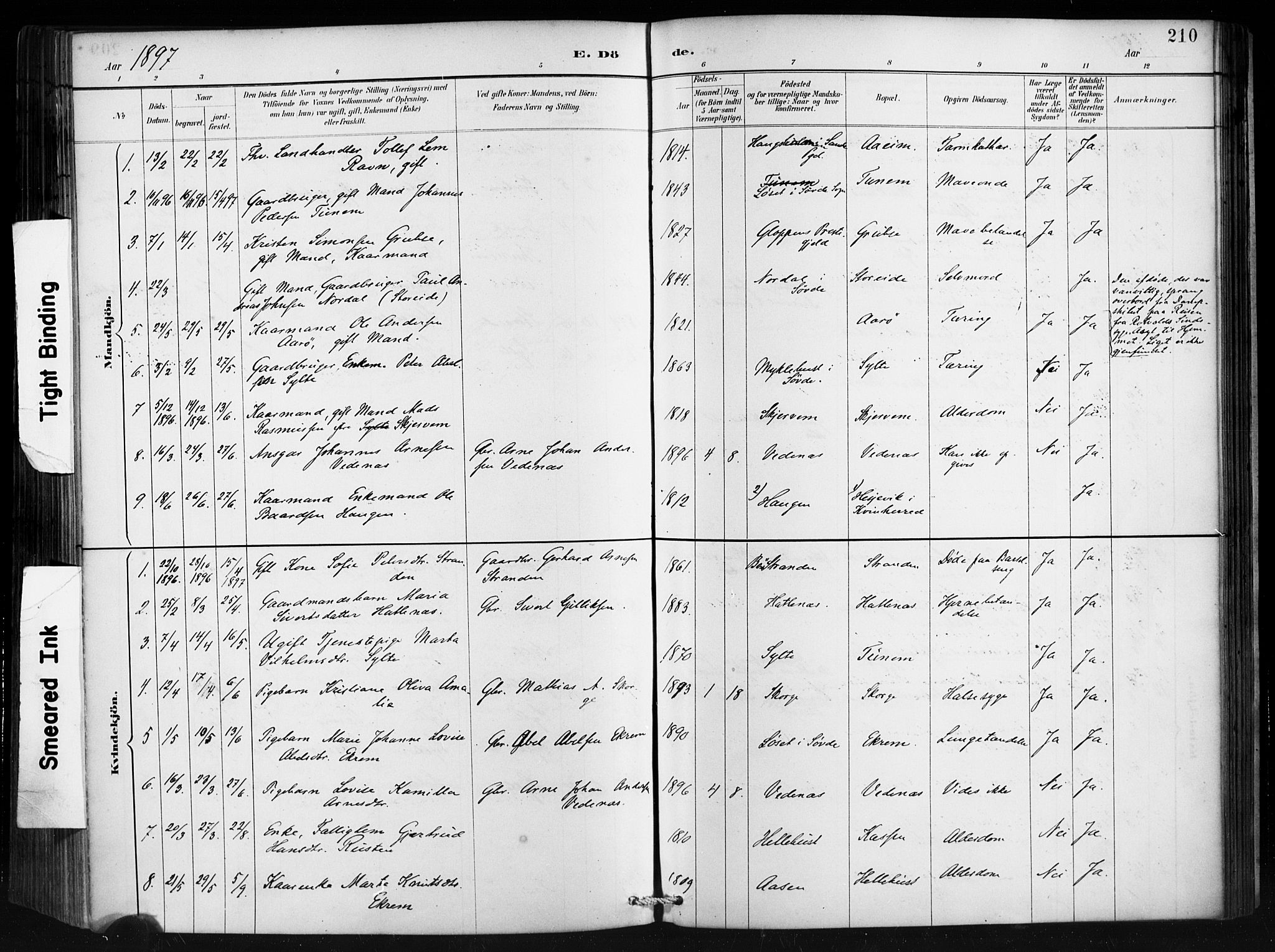 Ministerialprotokoller, klokkerbøker og fødselsregistre - Møre og Romsdal, AV/SAT-A-1454/501/L0008: Ministerialbok nr. 501A08, 1885-1901, s. 210