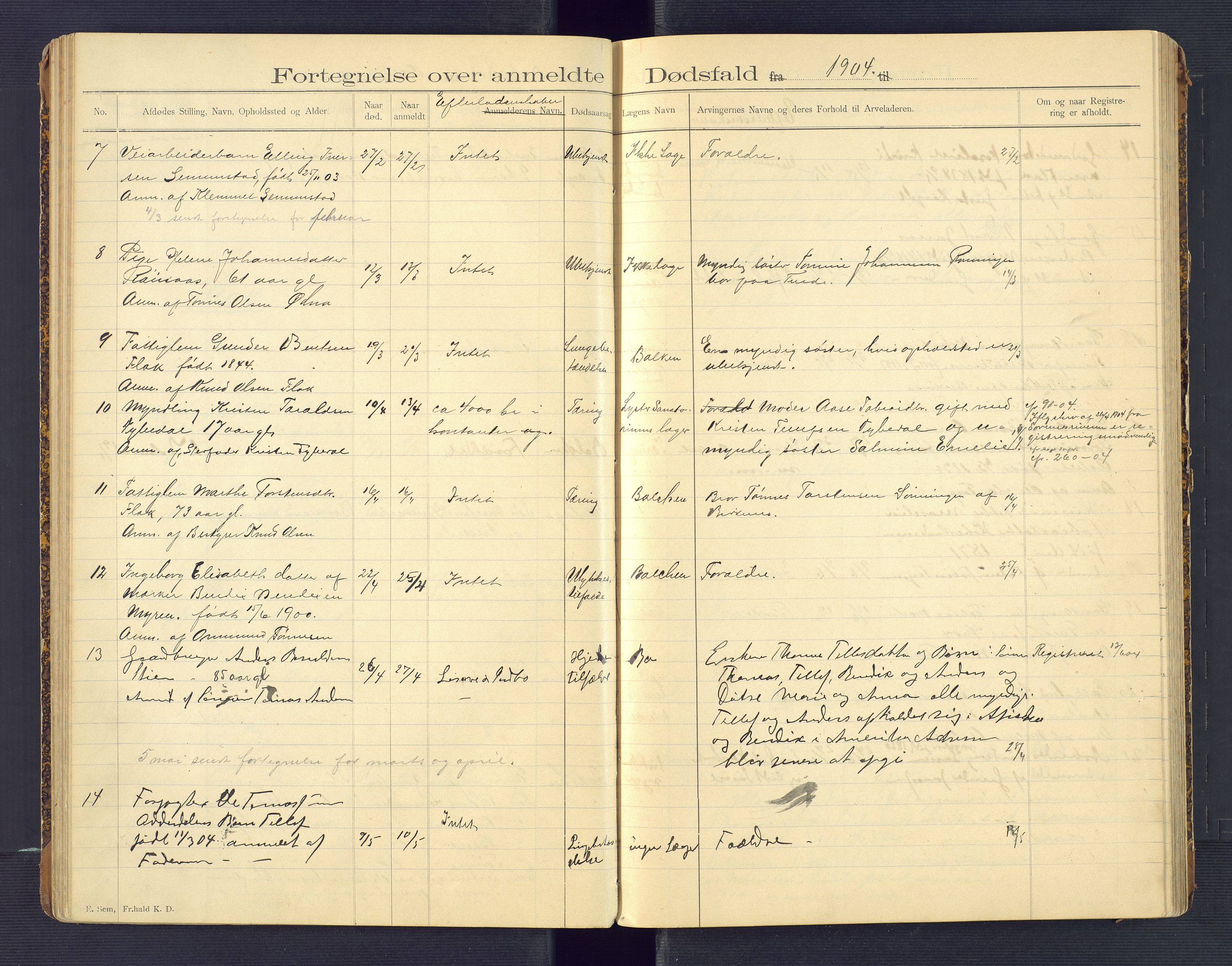 Birkenes lensmannskontor, AV/SAK-1241-0004/F/Fe/L0001/0001: Dødsfallsprotokoller / Dødsfallsprotokoll, 1898-1920