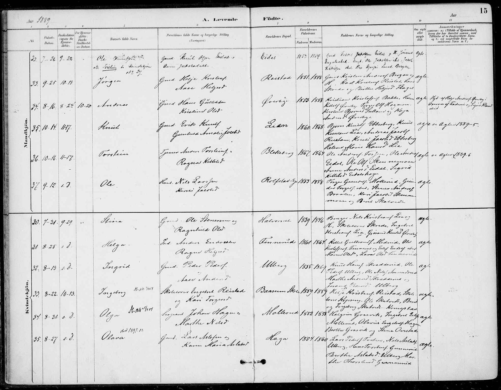 Sigdal kirkebøker, AV/SAKO-A-245/F/Fb/L0001: Ministerialbok nr. II 1, 1888-1900, s. 15