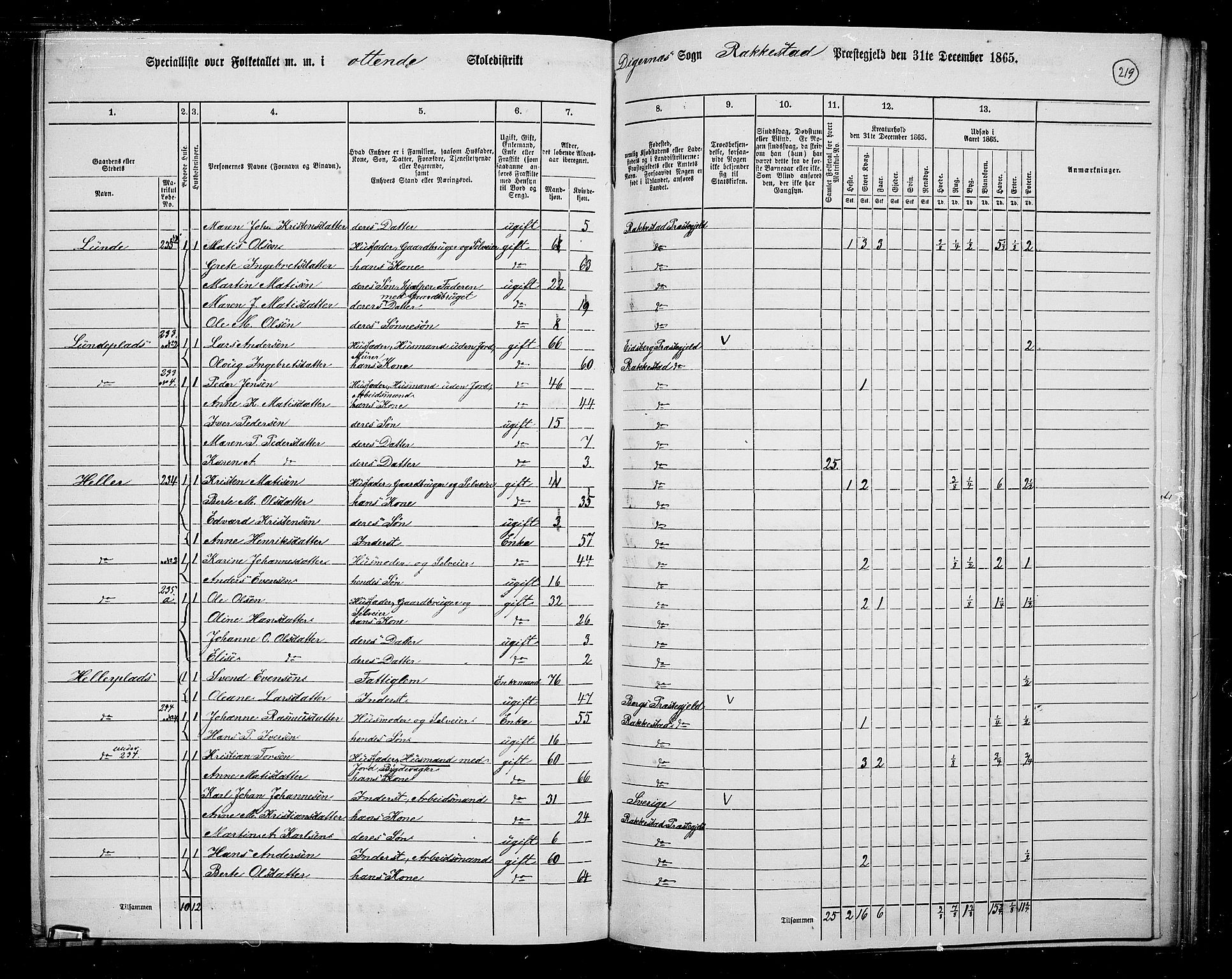 RA, Folketelling 1865 for 0128P Rakkestad prestegjeld, 1865, s. 210