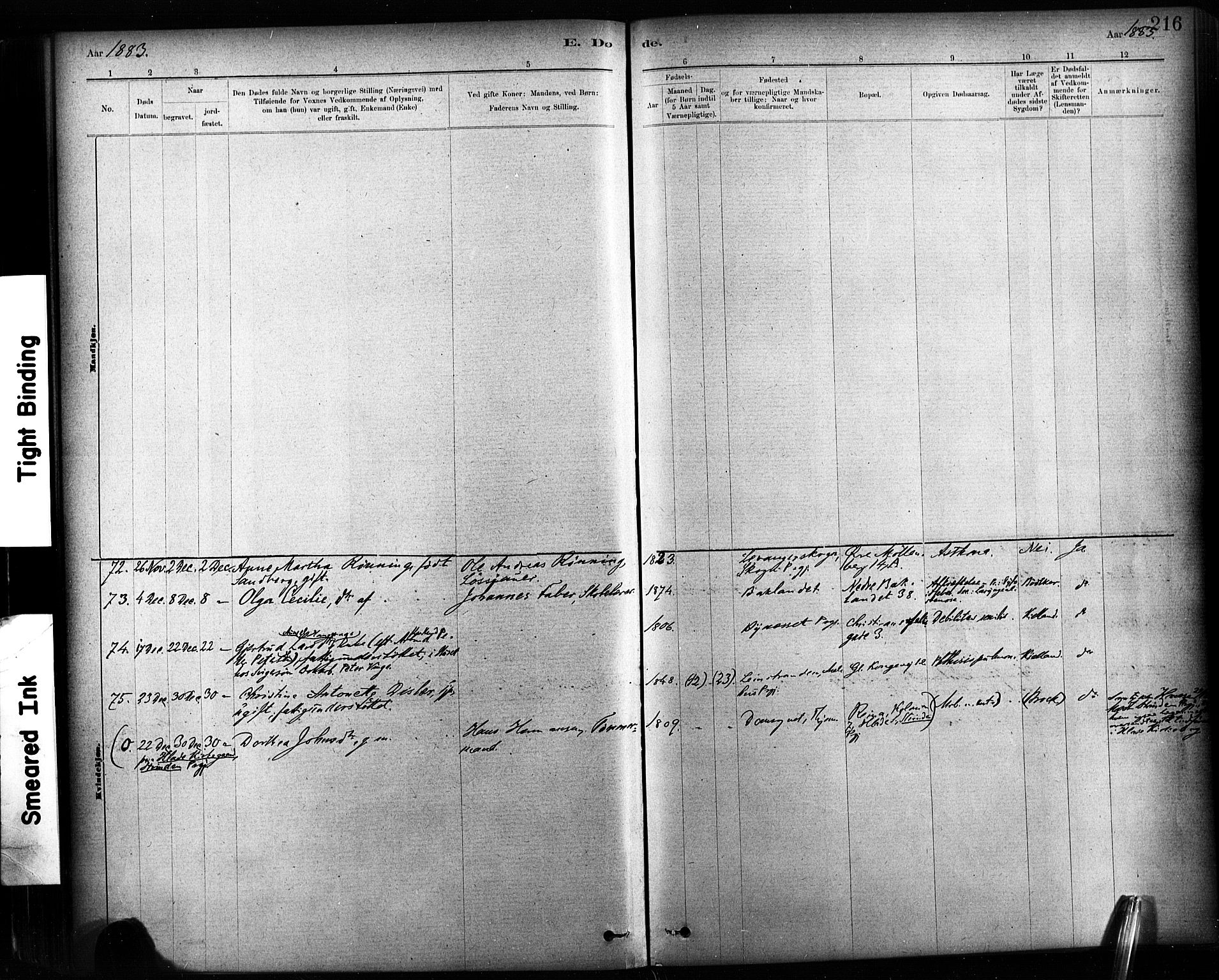 Ministerialprotokoller, klokkerbøker og fødselsregistre - Sør-Trøndelag, AV/SAT-A-1456/604/L0189: Ministerialbok nr. 604A10, 1878-1892, s. 216