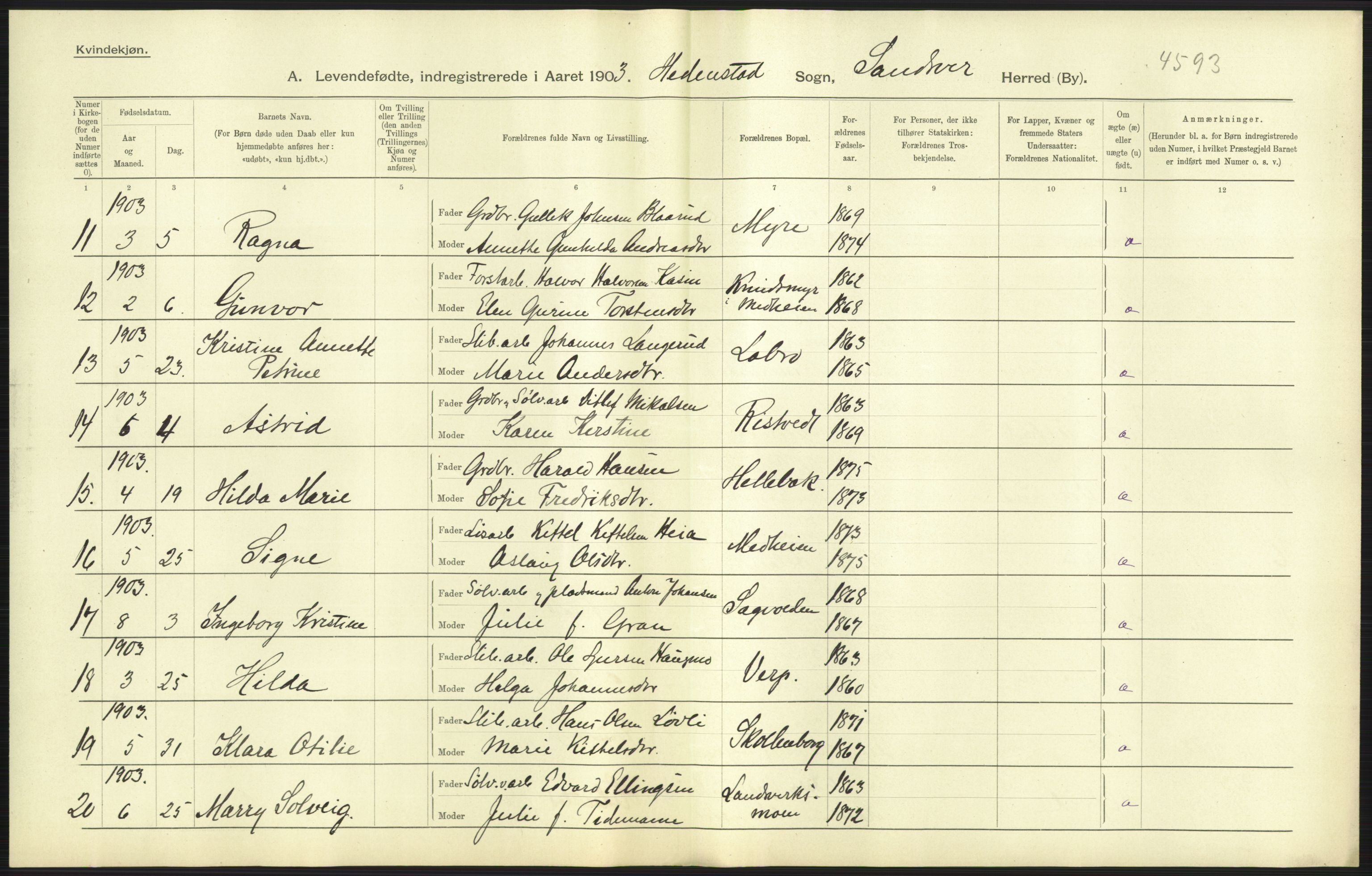 Statistisk sentralbyrå, Sosiodemografiske emner, Befolkning, AV/RA-S-2228/D/Df/Dfa/Dfaa/L0007: Buskeruds amt: Fødte, gifte, døde, 1903, s. 43