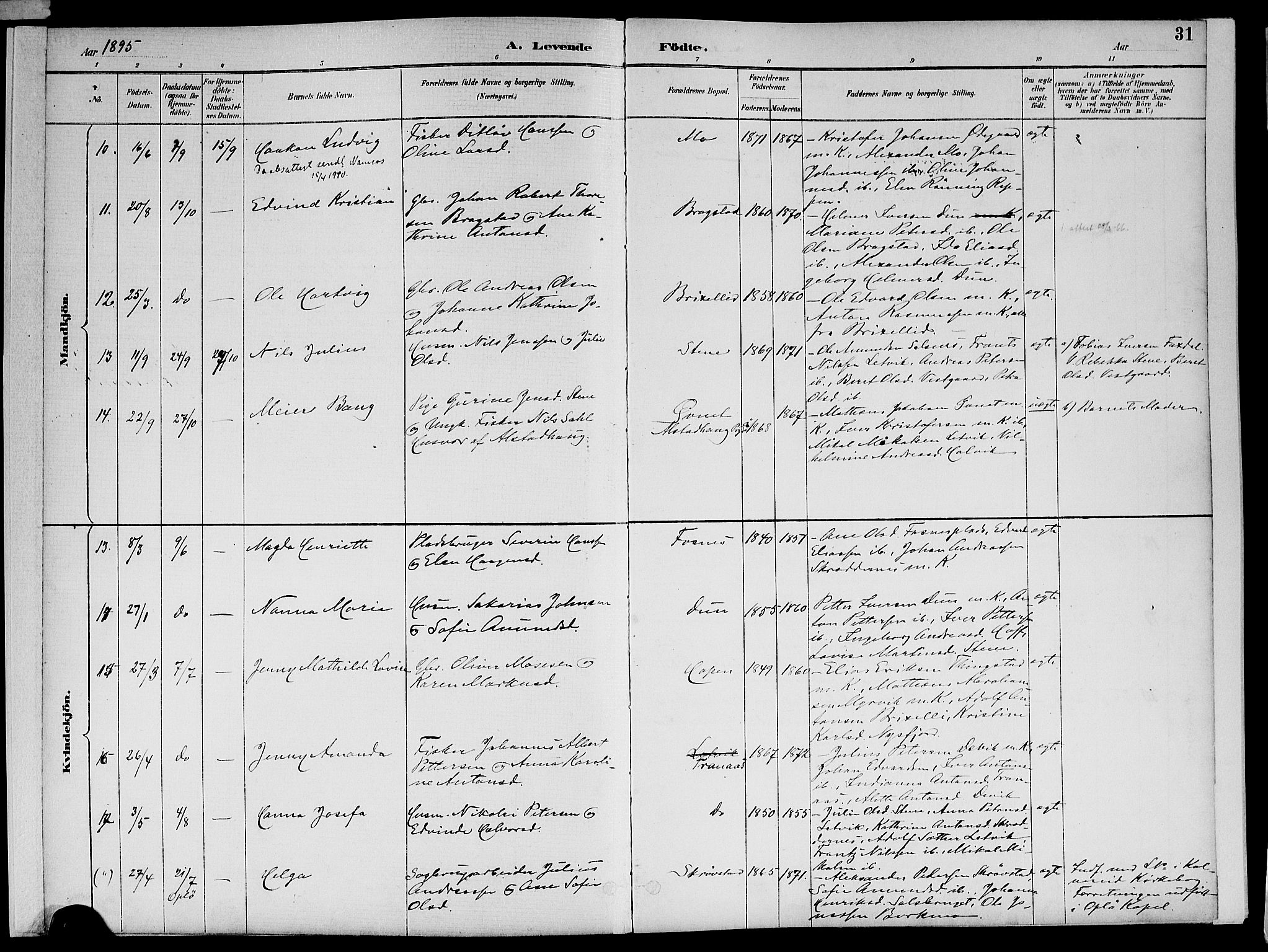 Ministerialprotokoller, klokkerbøker og fødselsregistre - Nord-Trøndelag, AV/SAT-A-1458/773/L0617: Ministerialbok nr. 773A08, 1887-1910, s. 31