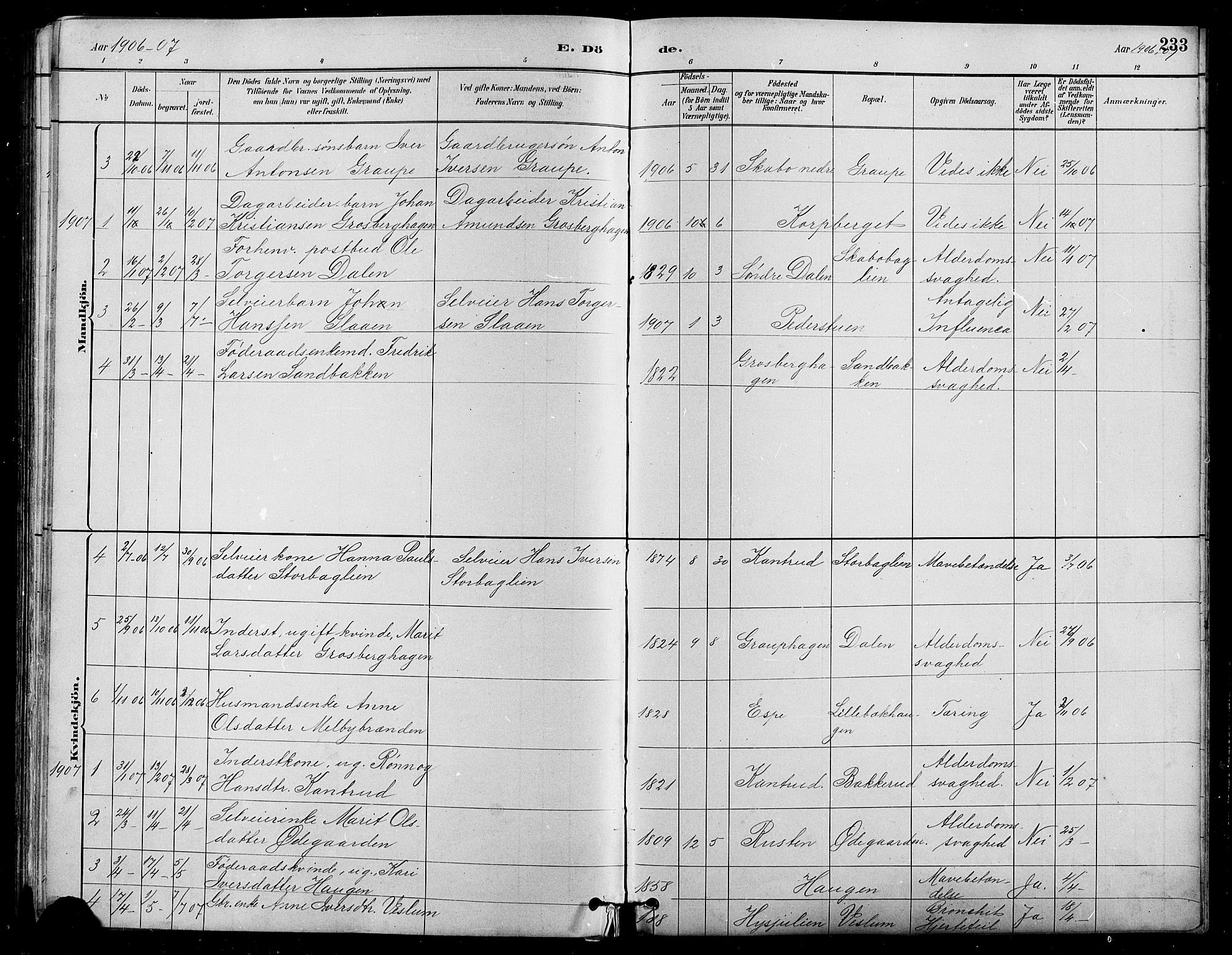 Nord-Fron prestekontor, AV/SAH-PREST-080/H/Ha/Hab/L0005: Klokkerbok nr. 5, 1884-1914, s. 233
