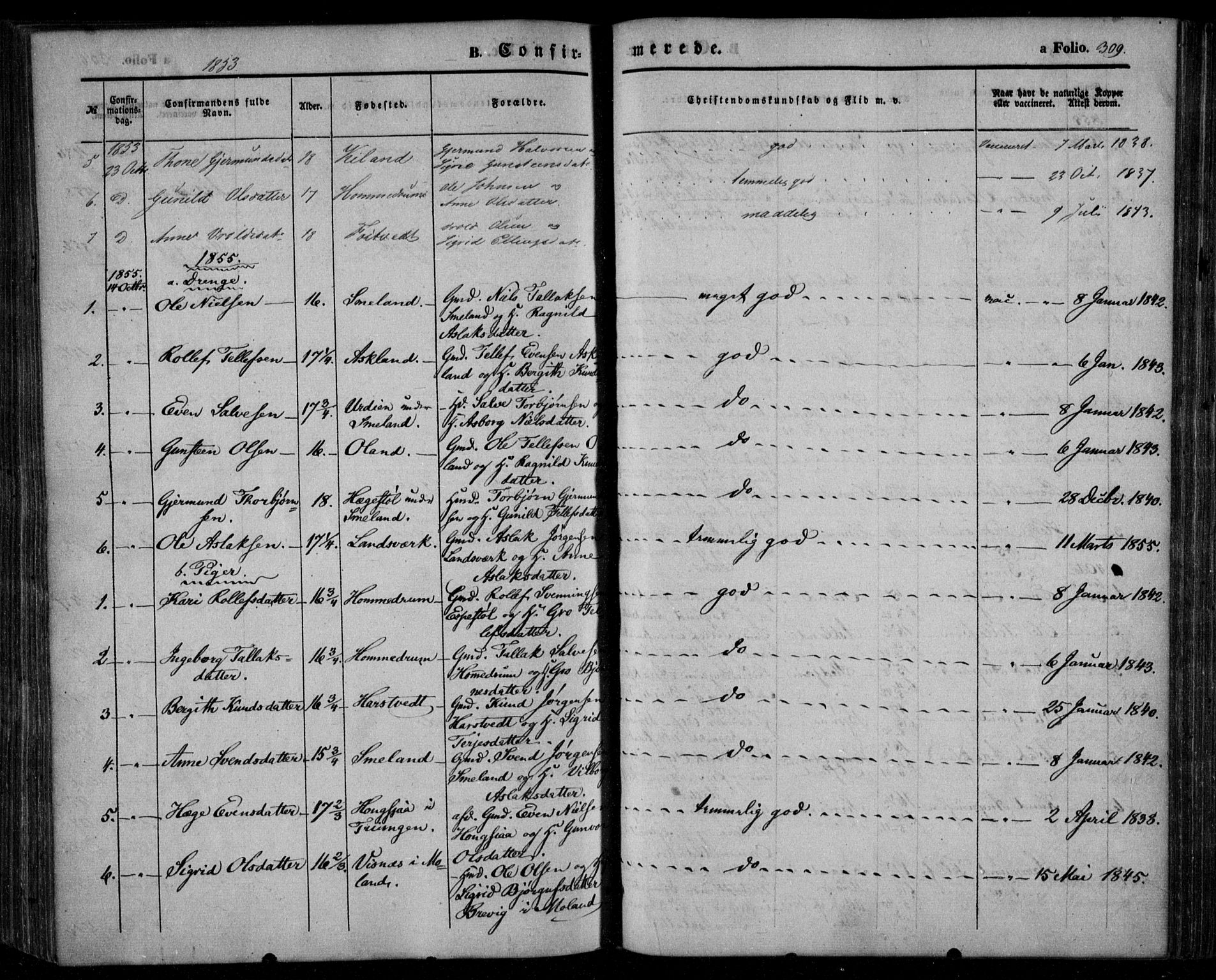 Åmli sokneprestkontor, AV/SAK-1111-0050/F/Fa/Fac/L0008: Ministerialbok nr. A 8, 1852-1869, s. 310