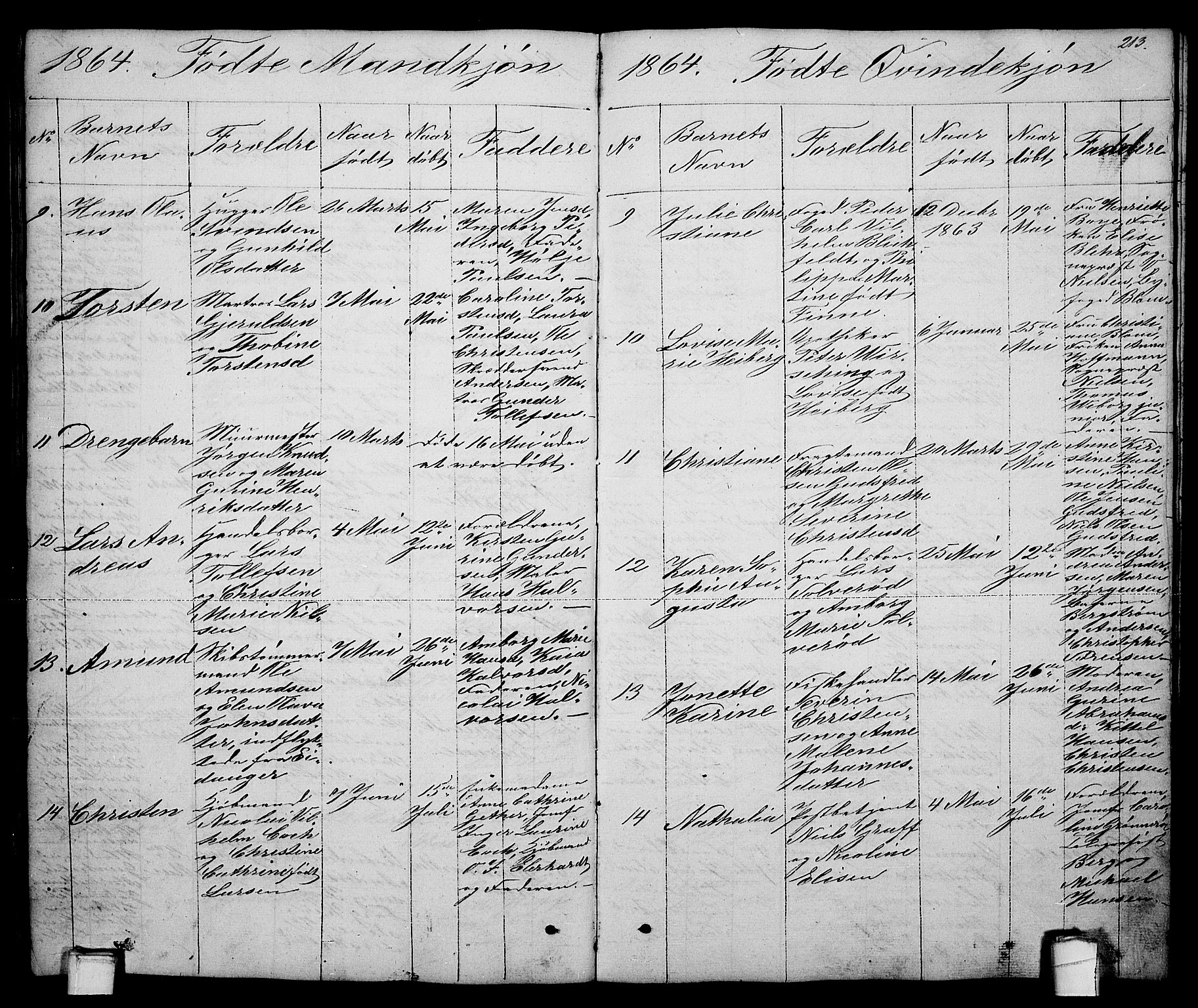 Brevik kirkebøker, AV/SAKO-A-255/G/Ga/L0002: Klokkerbok nr. 2, 1846-1865, s. 213