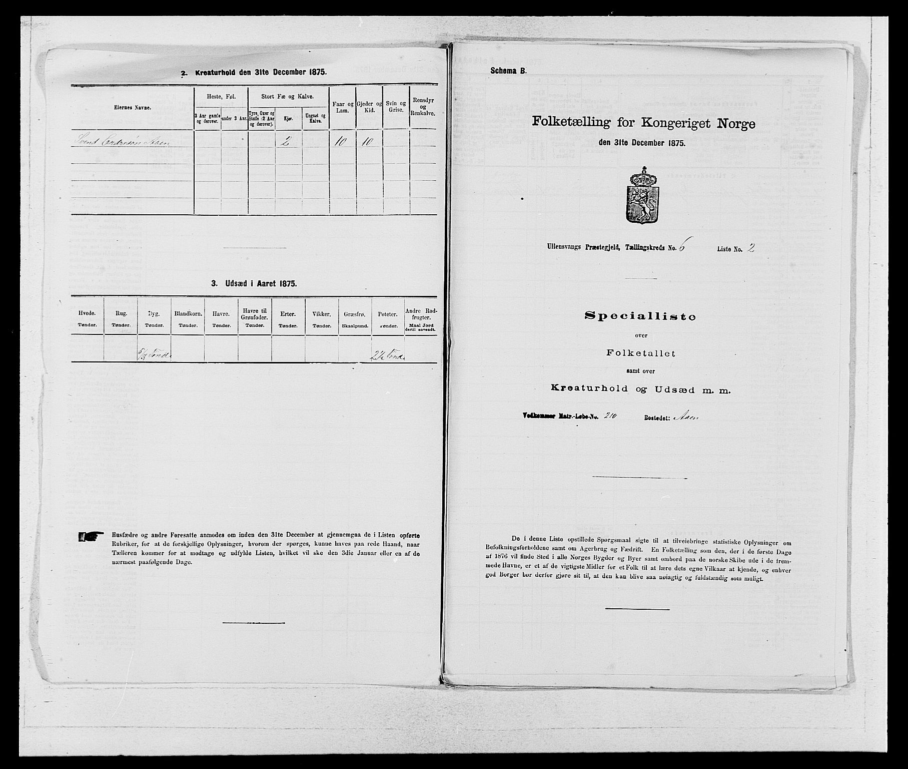 SAB, Folketelling 1875 for 1230P Ullensvang prestegjeld, 1875, s. 505