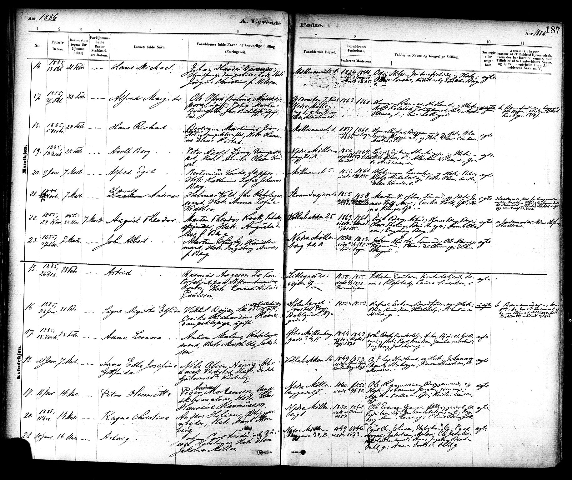 Ministerialprotokoller, klokkerbøker og fødselsregistre - Sør-Trøndelag, SAT/A-1456/604/L0188: Ministerialbok nr. 604A09, 1878-1892, s. 187