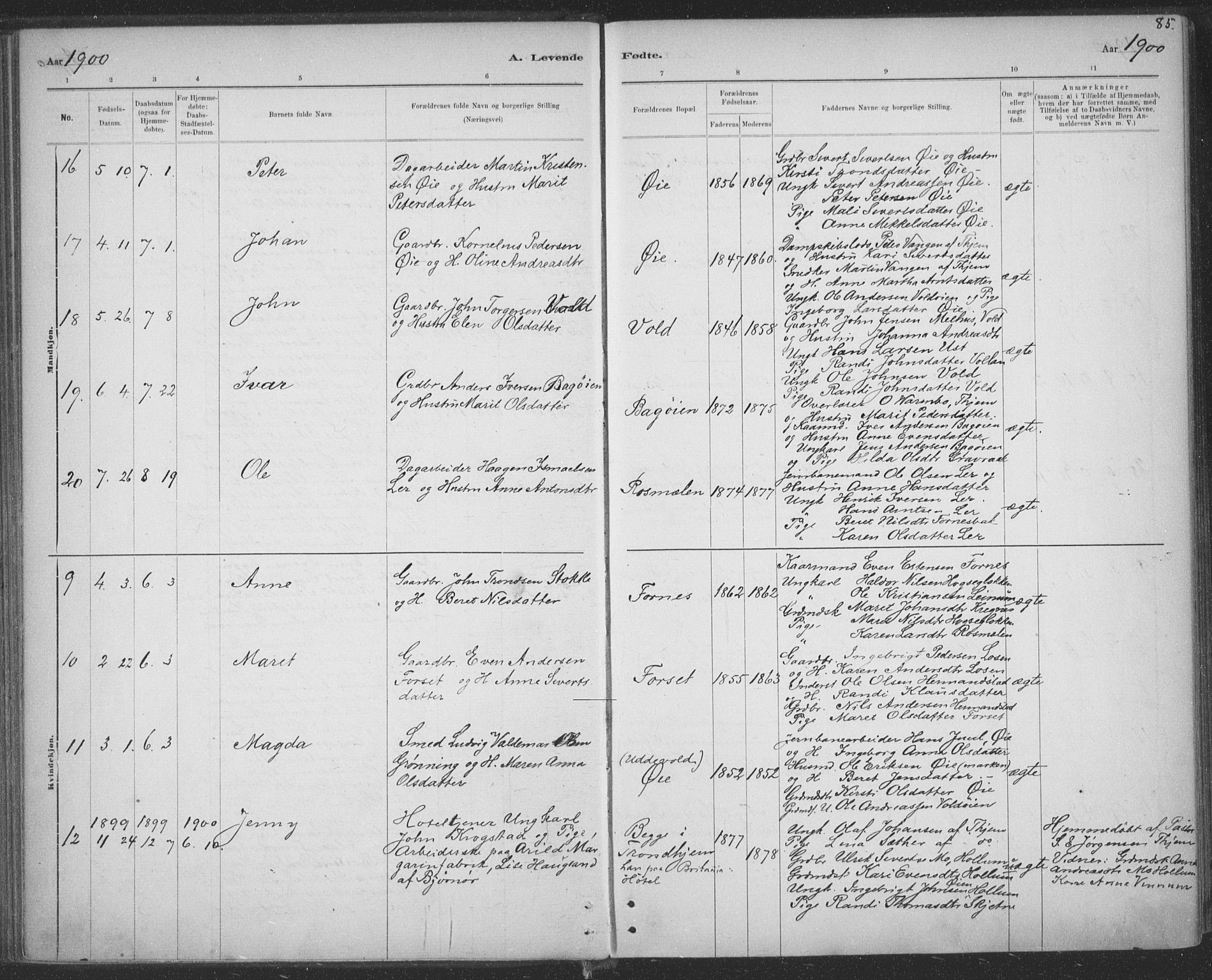 Ministerialprotokoller, klokkerbøker og fødselsregistre - Sør-Trøndelag, SAT/A-1456/691/L1085: Ministerialbok nr. 691A17, 1887-1908, s. 85