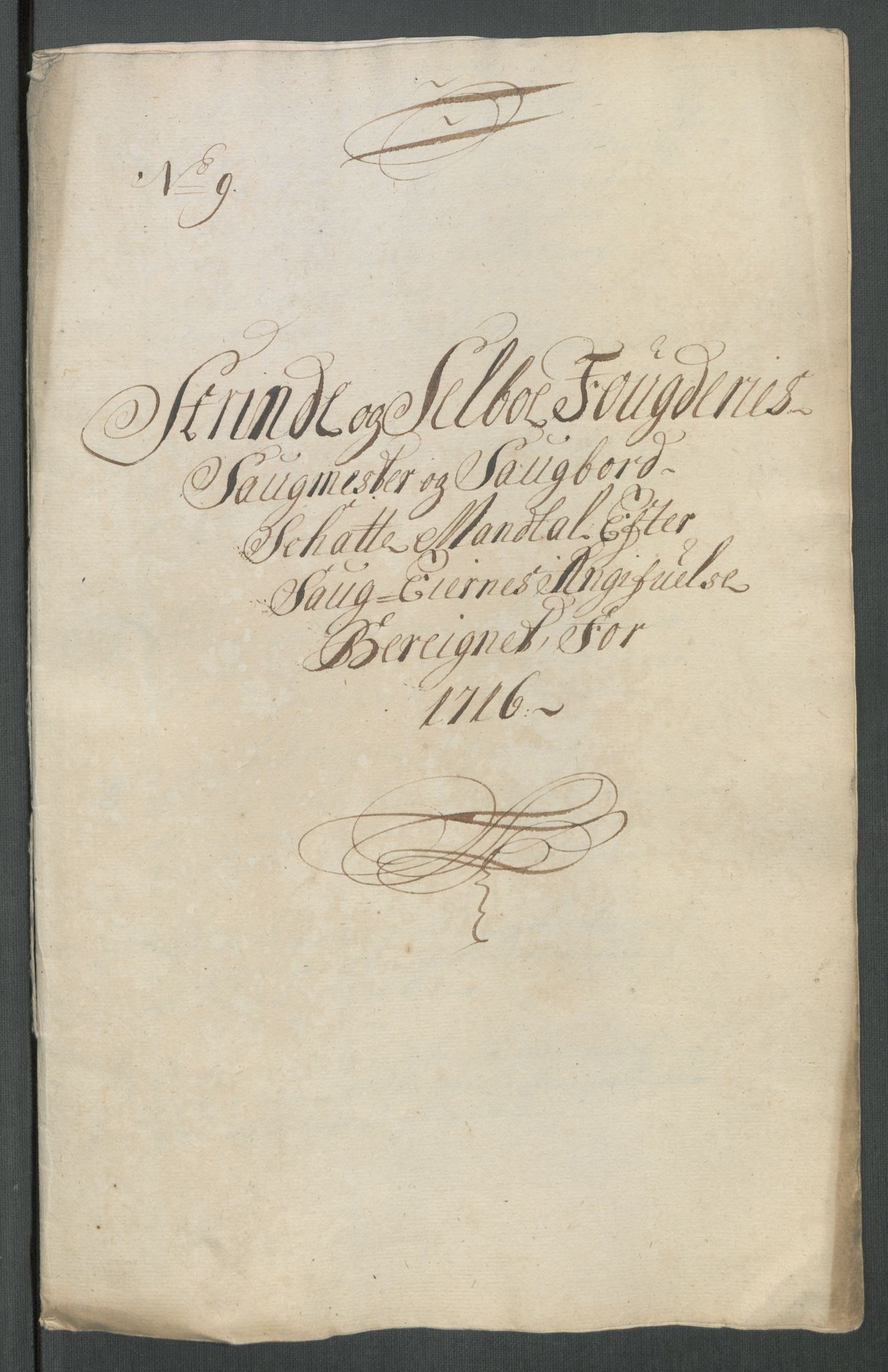 Rentekammeret inntil 1814, Reviderte regnskaper, Fogderegnskap, AV/RA-EA-4092/R61/L4115: Fogderegnskap Strinda og Selbu, 1715-1716, s. 348