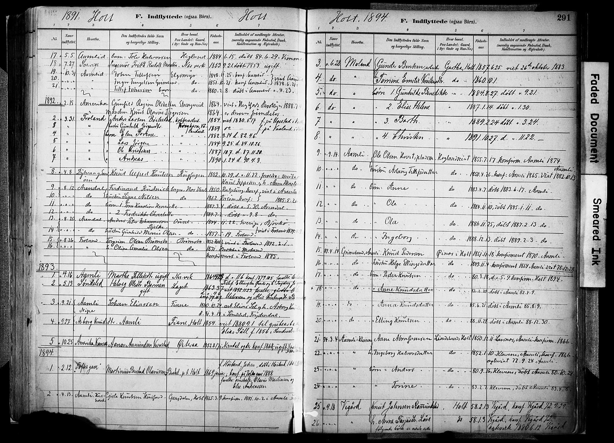 Holt sokneprestkontor, AV/SAK-1111-0021/F/Fa/L0012: Ministerialbok nr. A 12, 1885-1907, s. 291