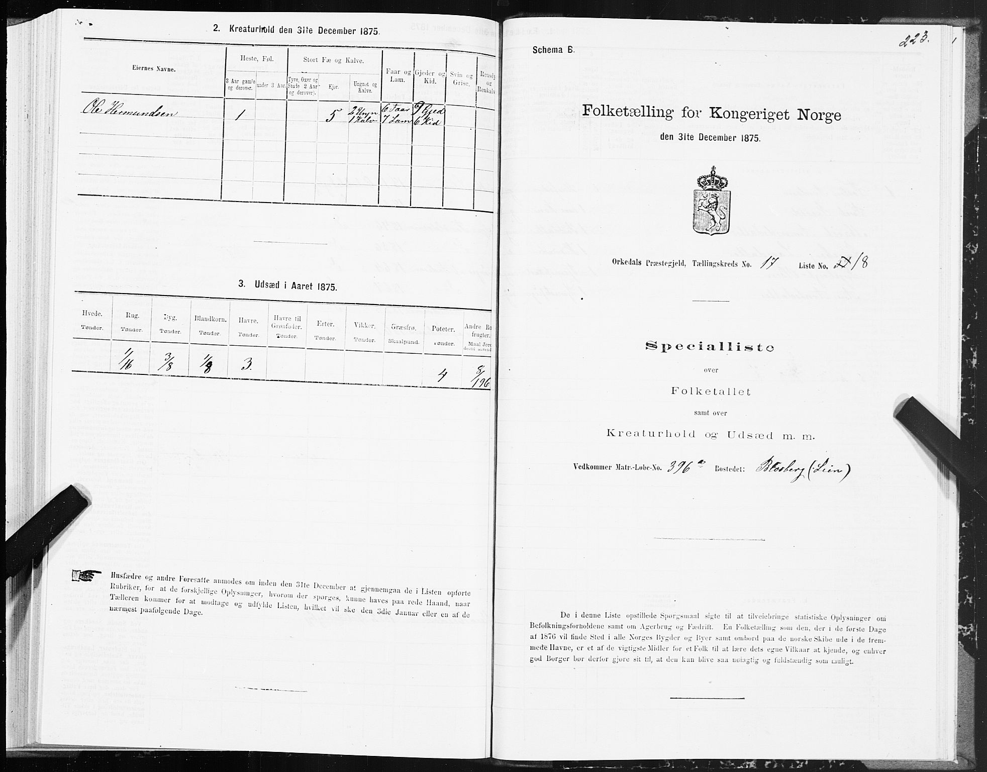 SAT, Folketelling 1875 for 1638P Orkdal prestegjeld, 1875, s. 8223