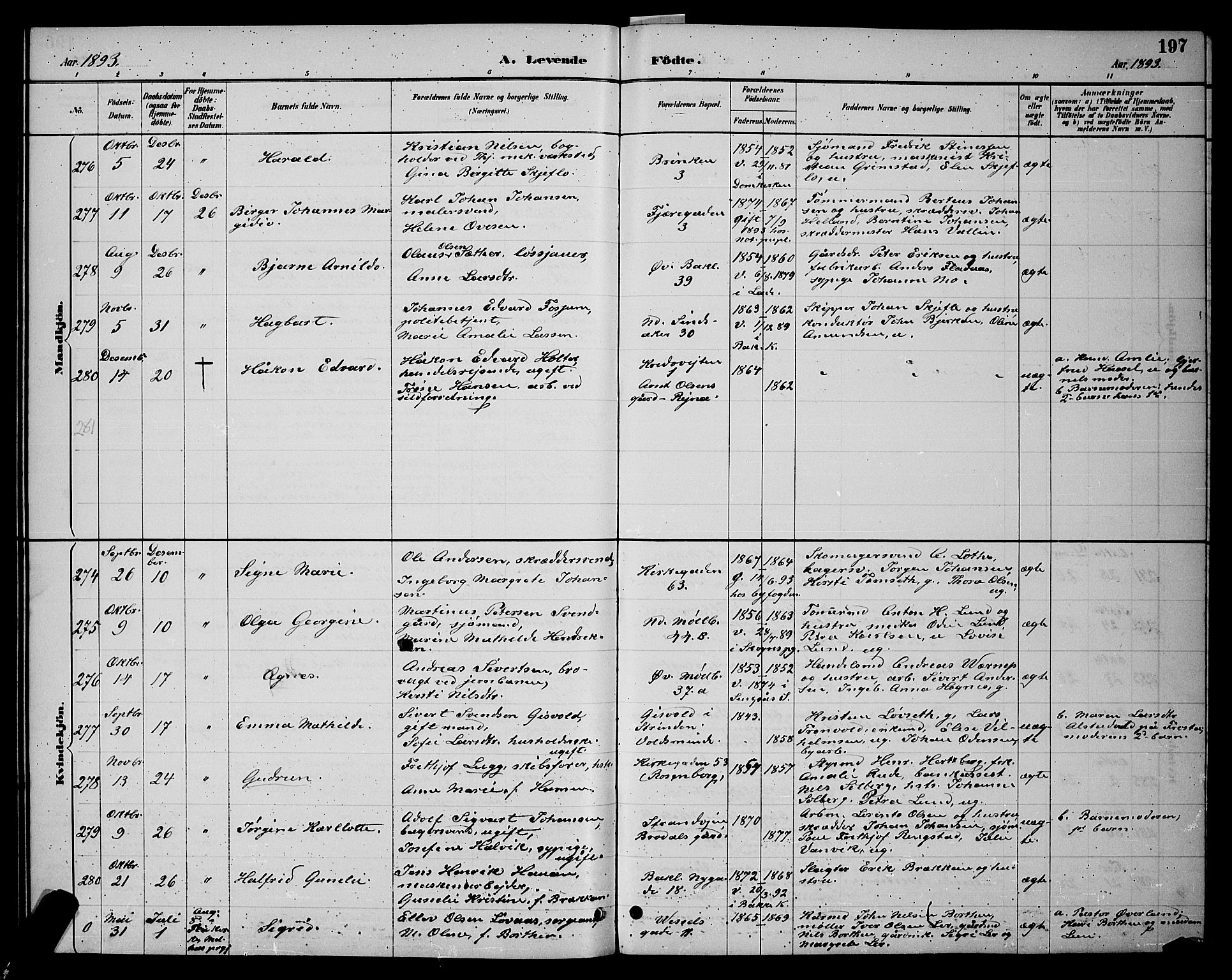 Ministerialprotokoller, klokkerbøker og fødselsregistre - Sør-Trøndelag, AV/SAT-A-1456/604/L0222: Klokkerbok nr. 604C05, 1886-1895, s. 197