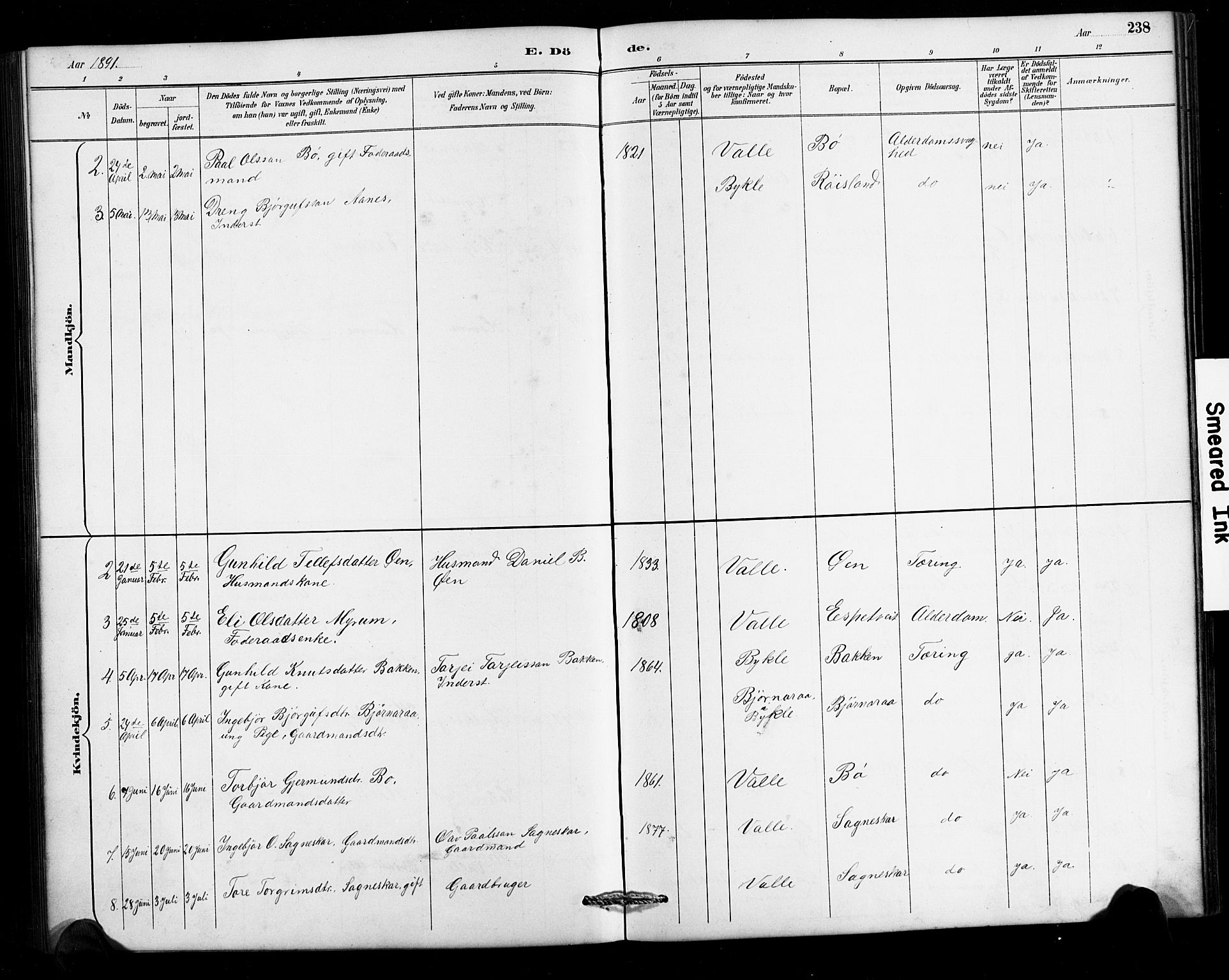Valle sokneprestkontor, AV/SAK-1111-0044/F/Fb/Fbc/L0004: Klokkerbok nr. B 4, 1890-1928, s. 238