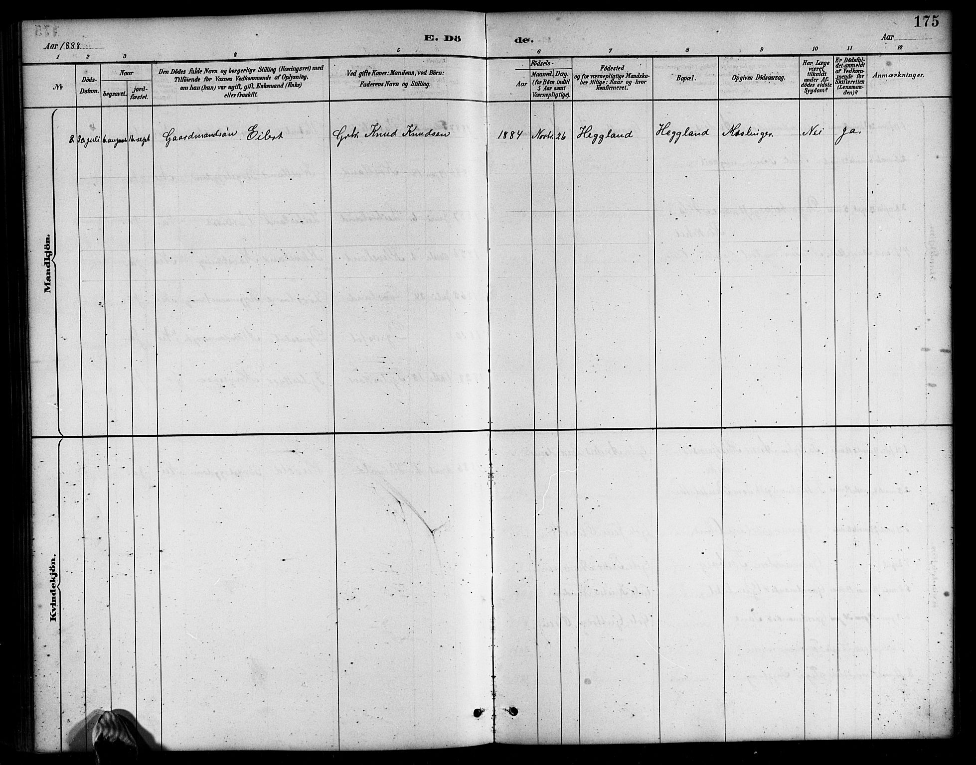 Bjelland sokneprestkontor, SAK/1111-0005/F/Fb/Fbb/L0005: Klokkerbok nr. B 5, 1887-1918, s. 175