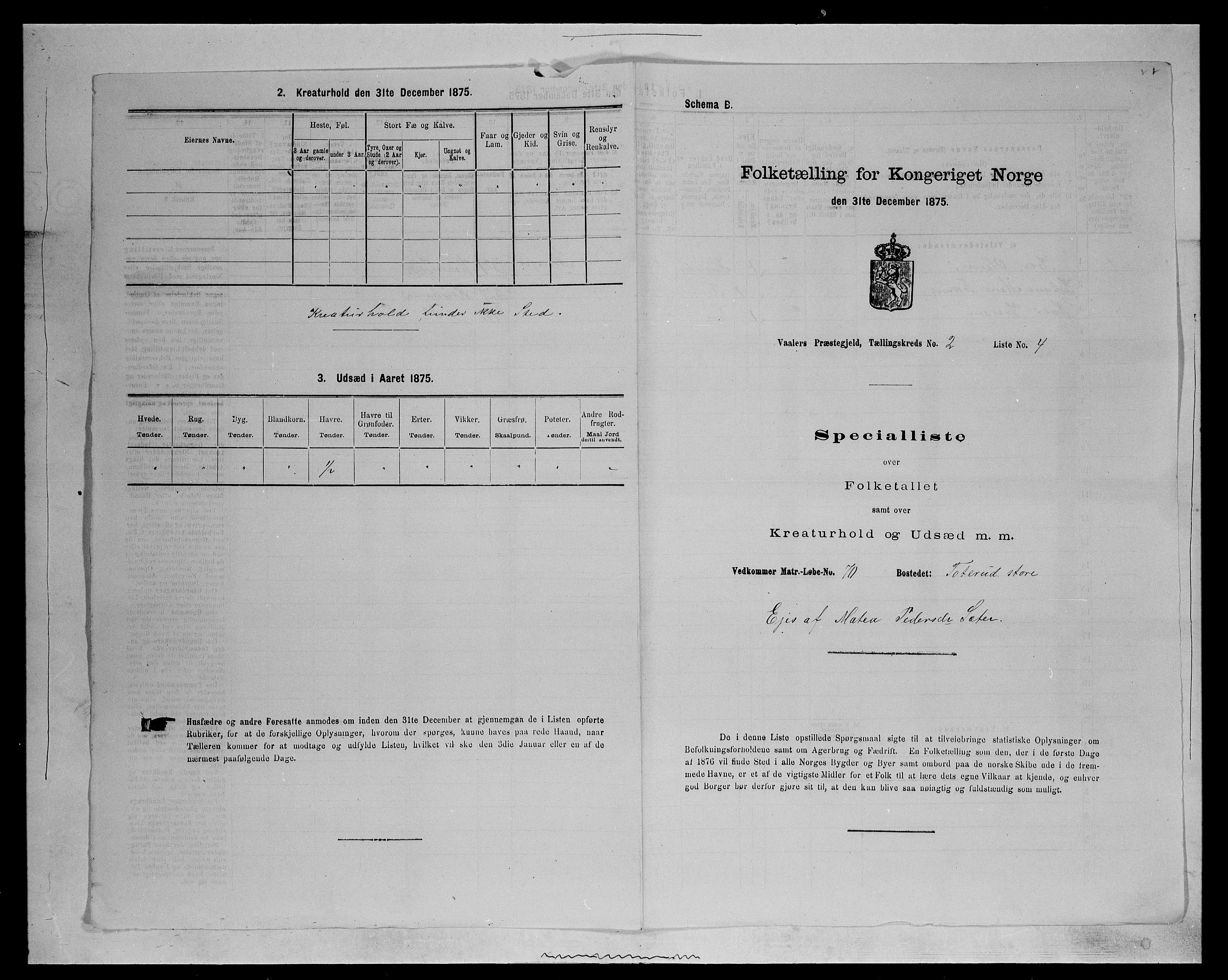 SAH, Folketelling 1875 for 0426P Våler prestegjeld (Hedmark), 1875, s. 251