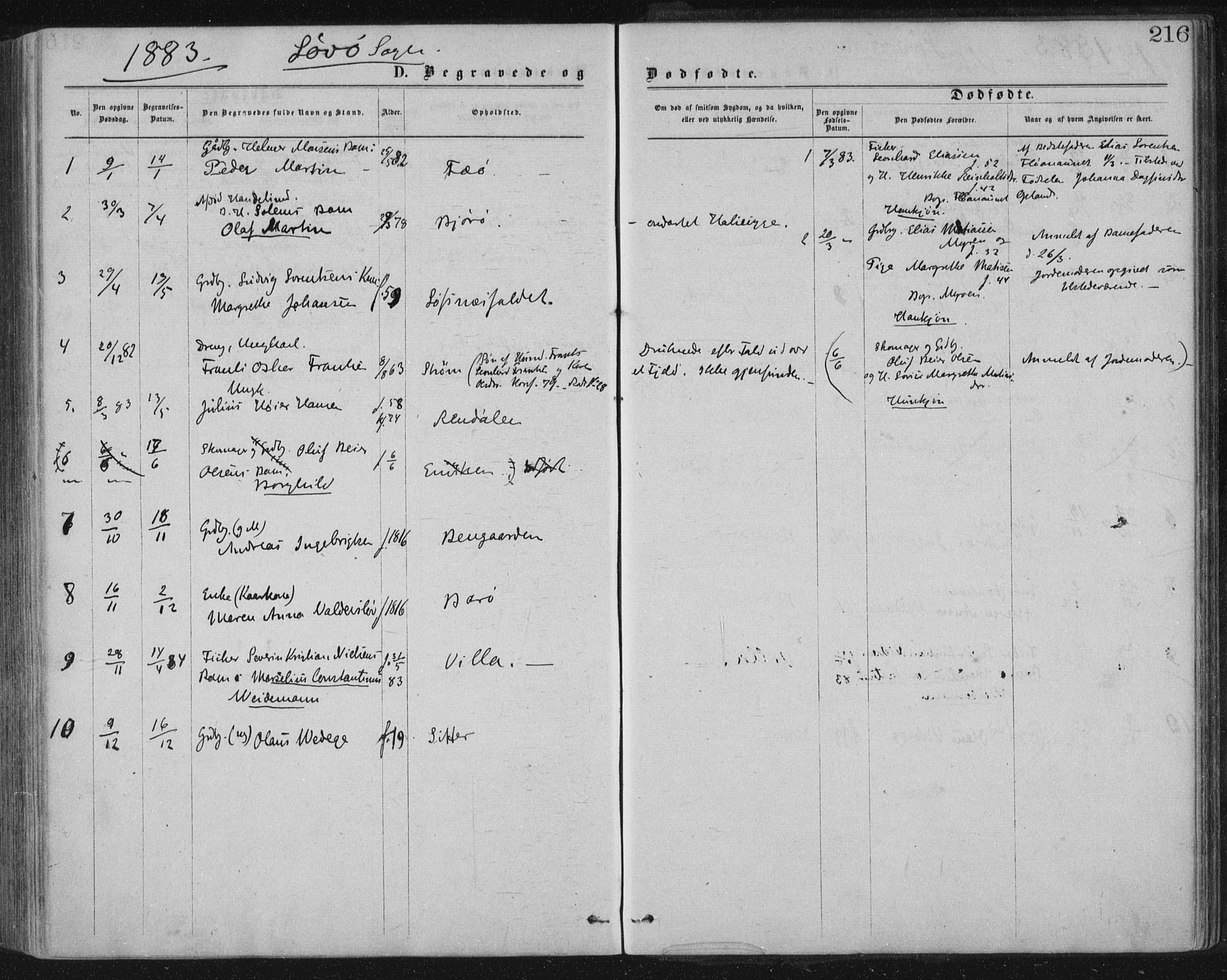 Ministerialprotokoller, klokkerbøker og fødselsregistre - Nord-Trøndelag, SAT/A-1458/771/L0596: Ministerialbok nr. 771A03, 1870-1884, s. 216