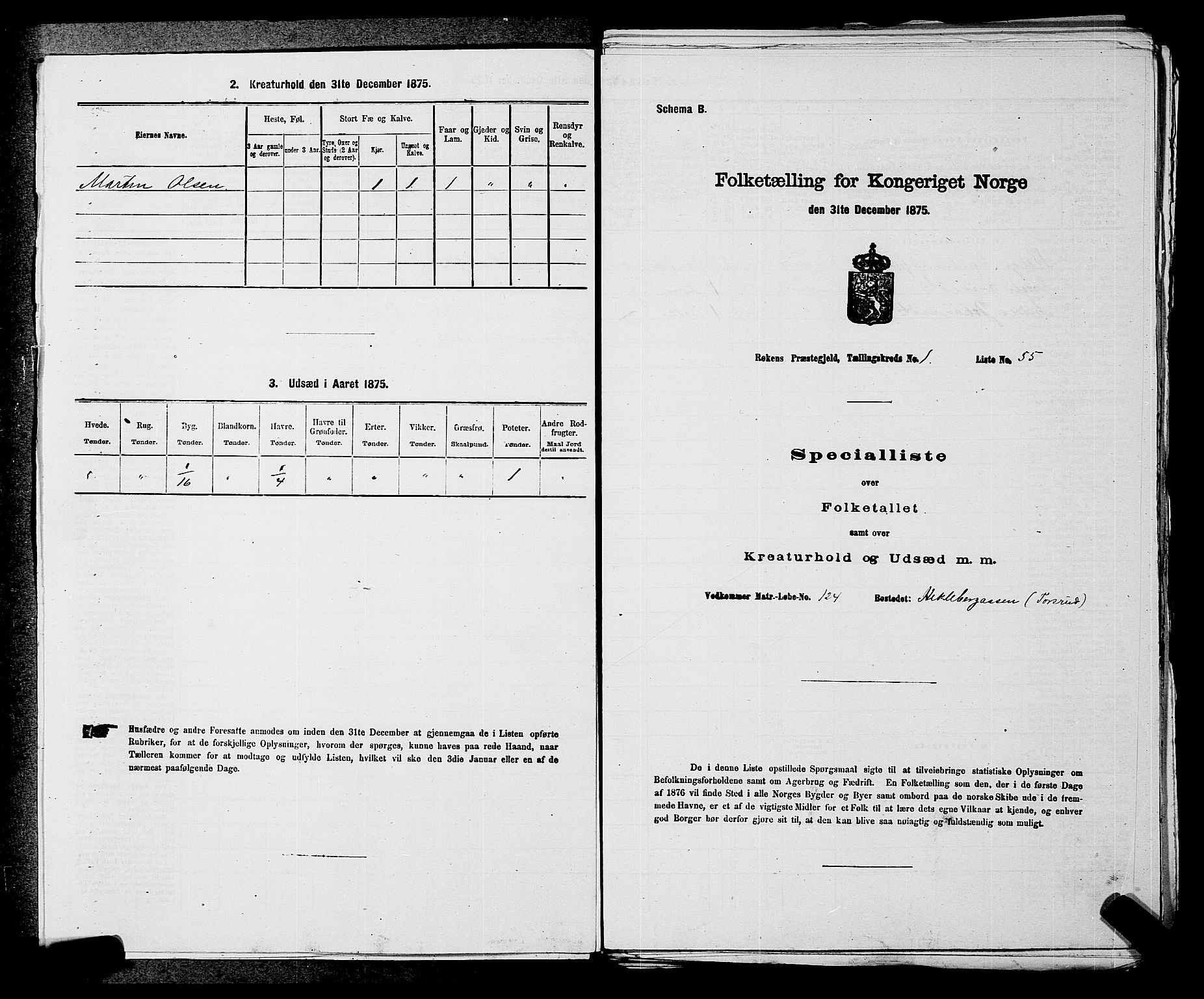 SAKO, Folketelling 1875 for 0627P Røyken prestegjeld, 1875, s. 61